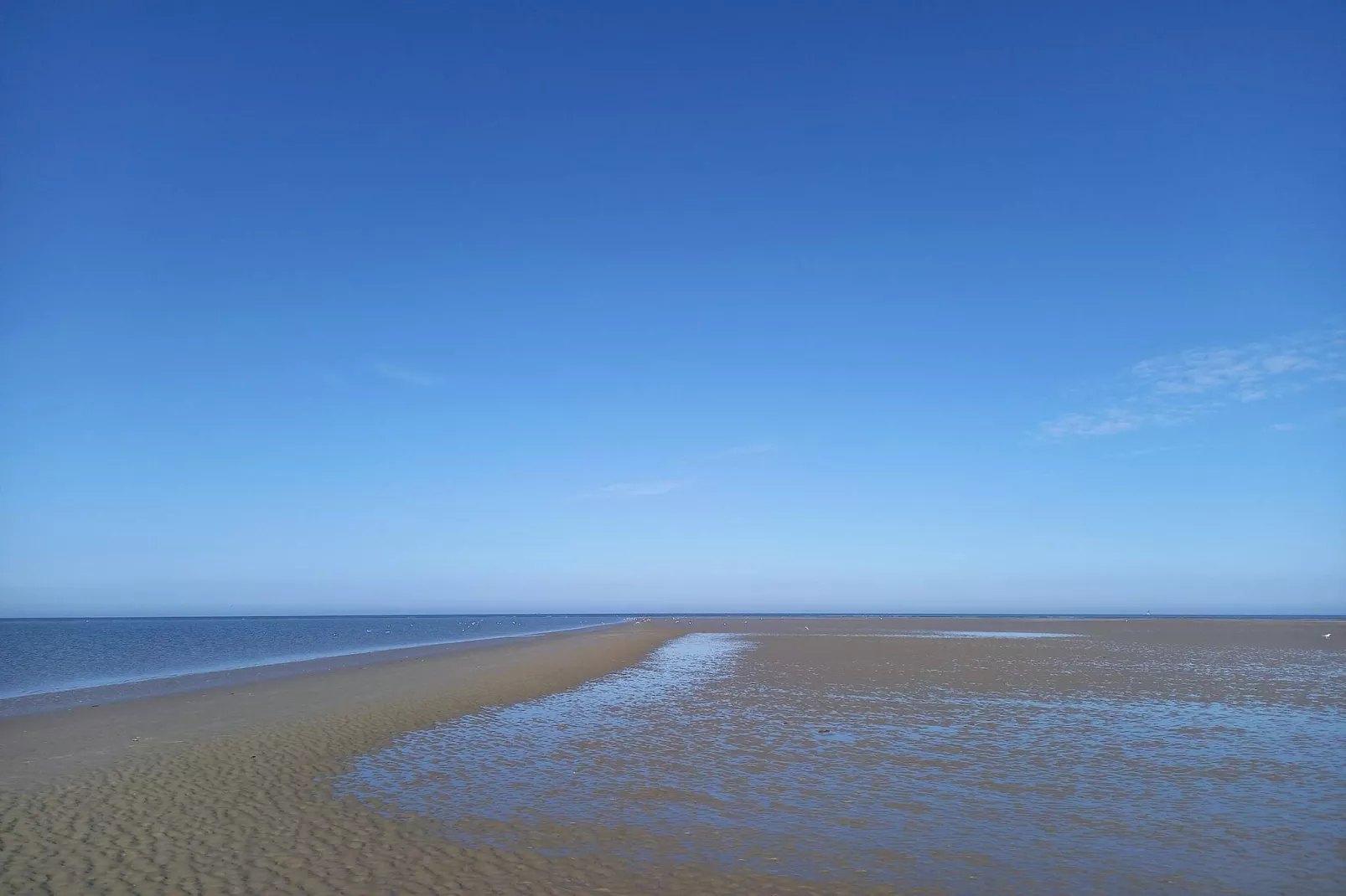 7 persoons vakantie huis in Fanø-By Traum-Waterzicht