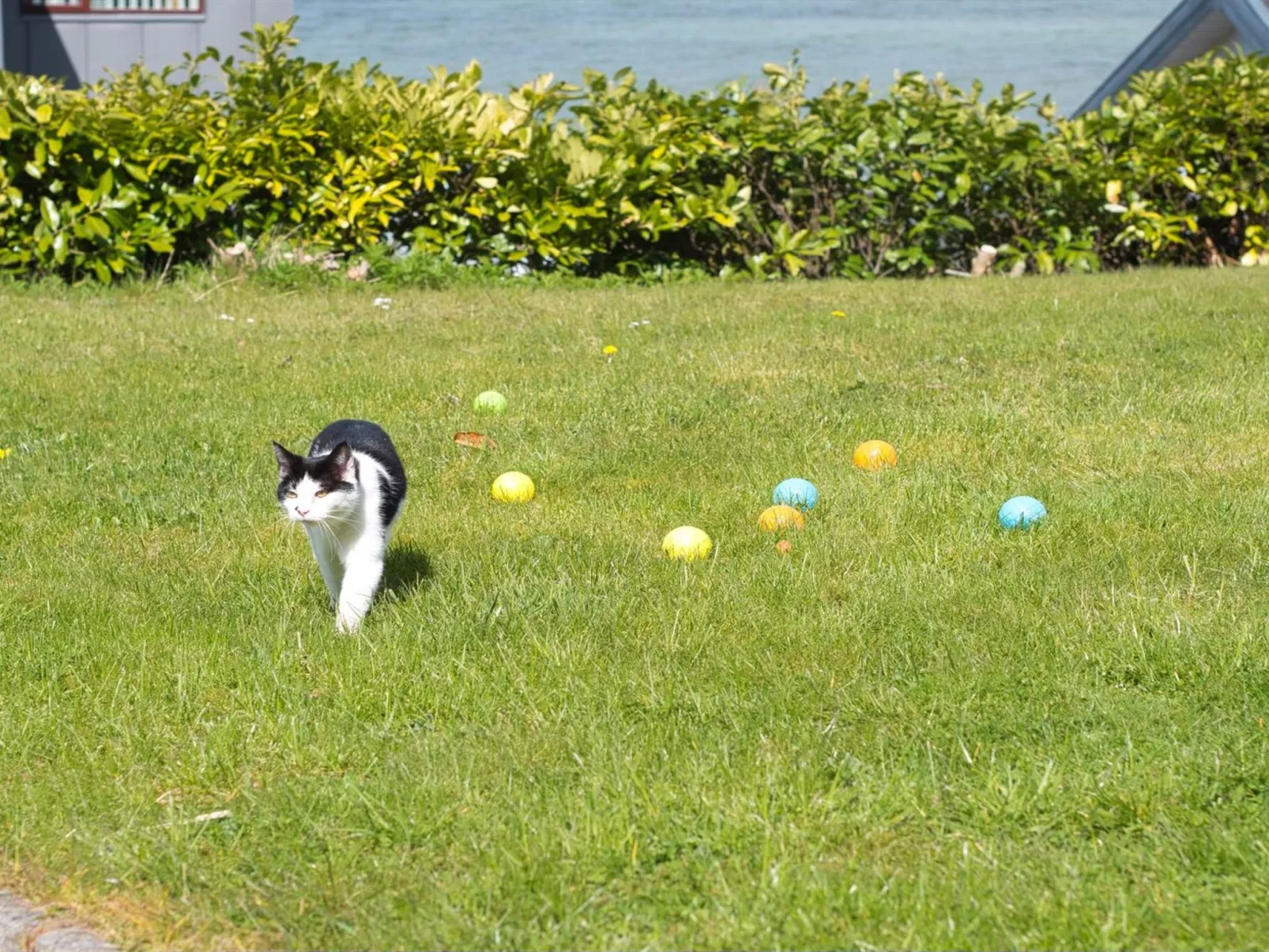 "Hilde" - 75m from the sea-Buiten