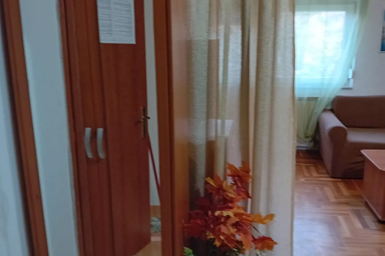 Apartments Petrova-Woonkamer