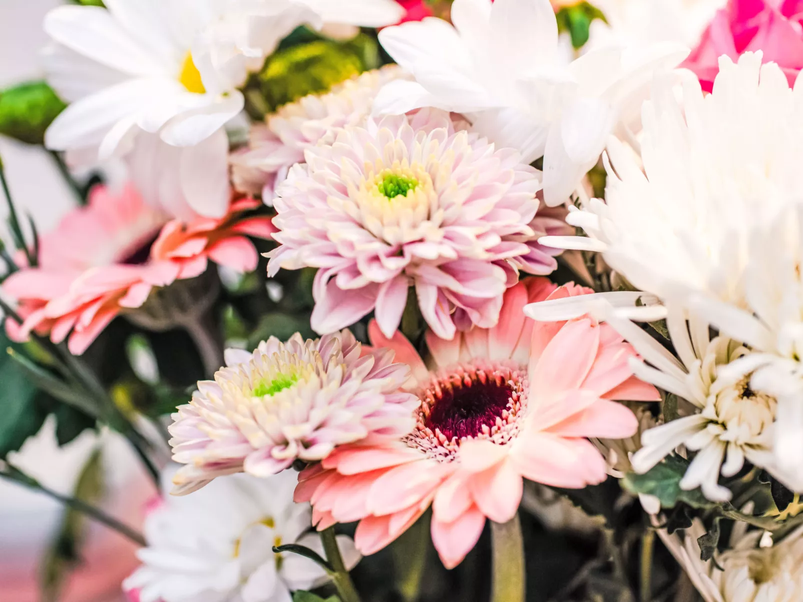 Fishertown Apartment 1st Floor-Binnen