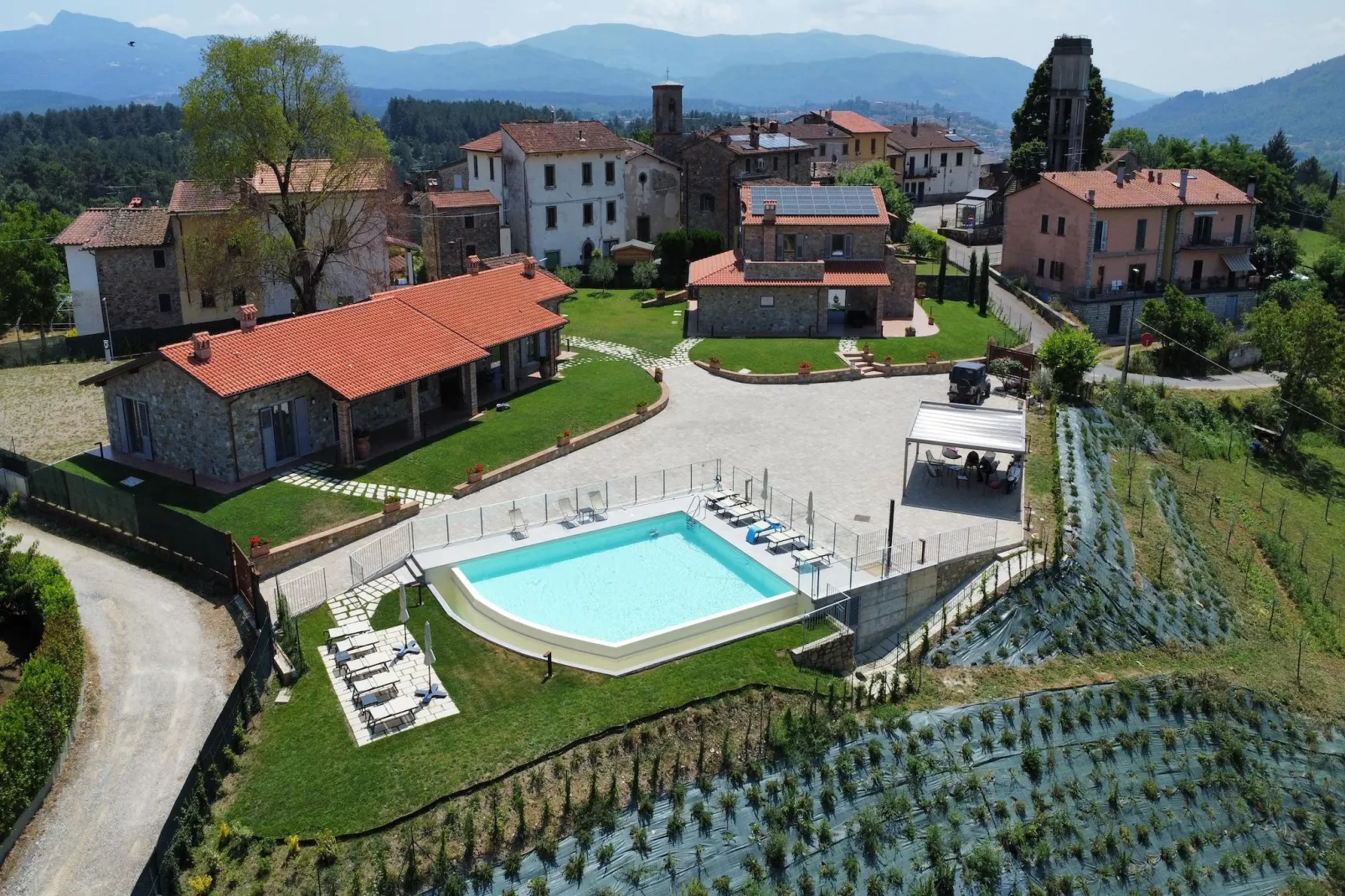 Orchidea-Buitenkant zomer