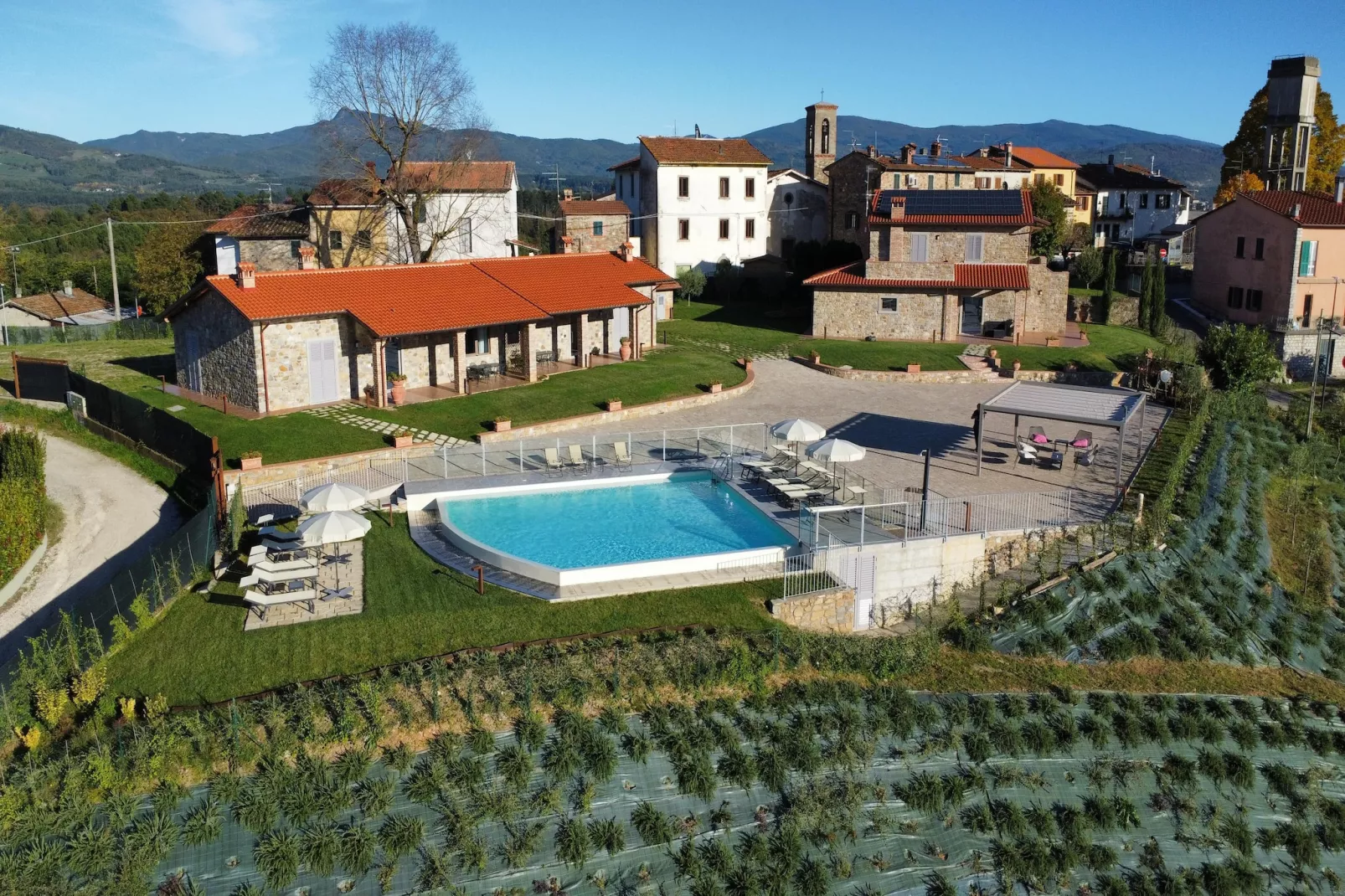 Primula-Buitenkant zomer