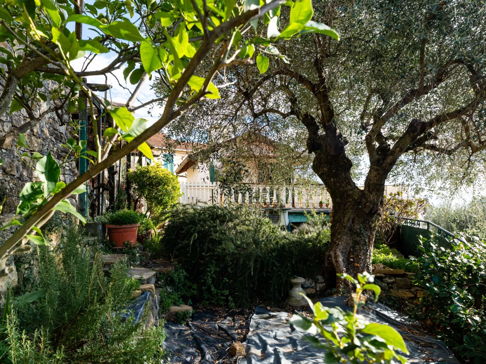 Villetta Luciano-Buiten