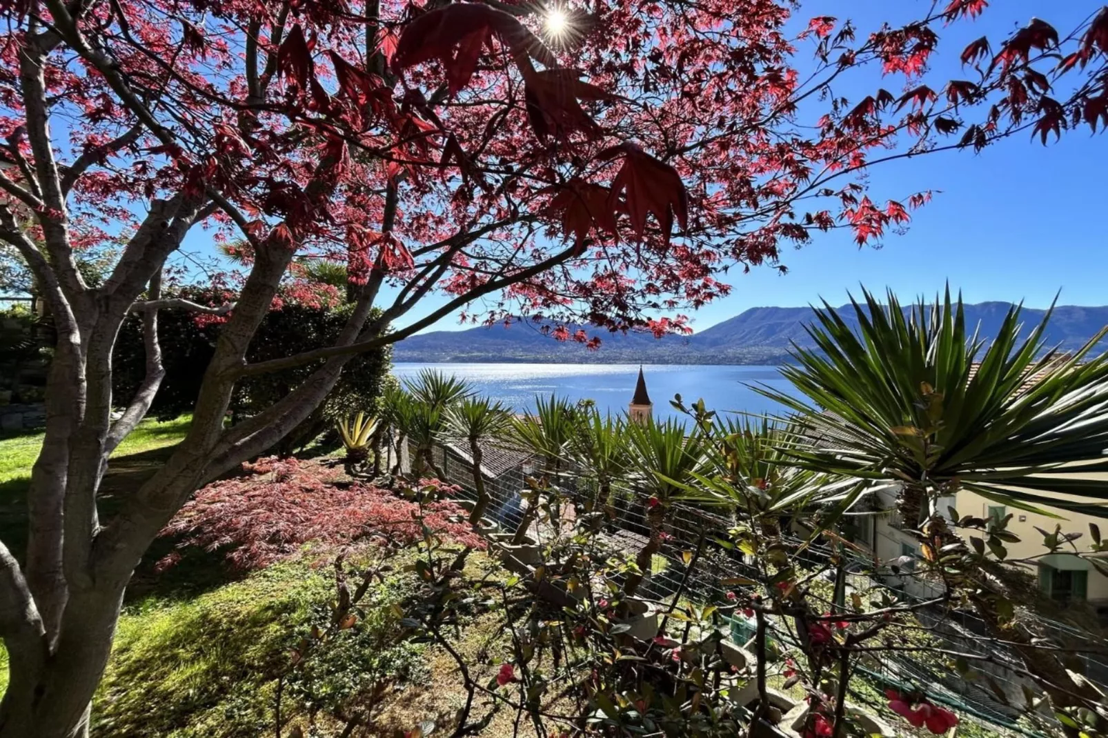 Villa Gonte Quattro-Tuinen zomer