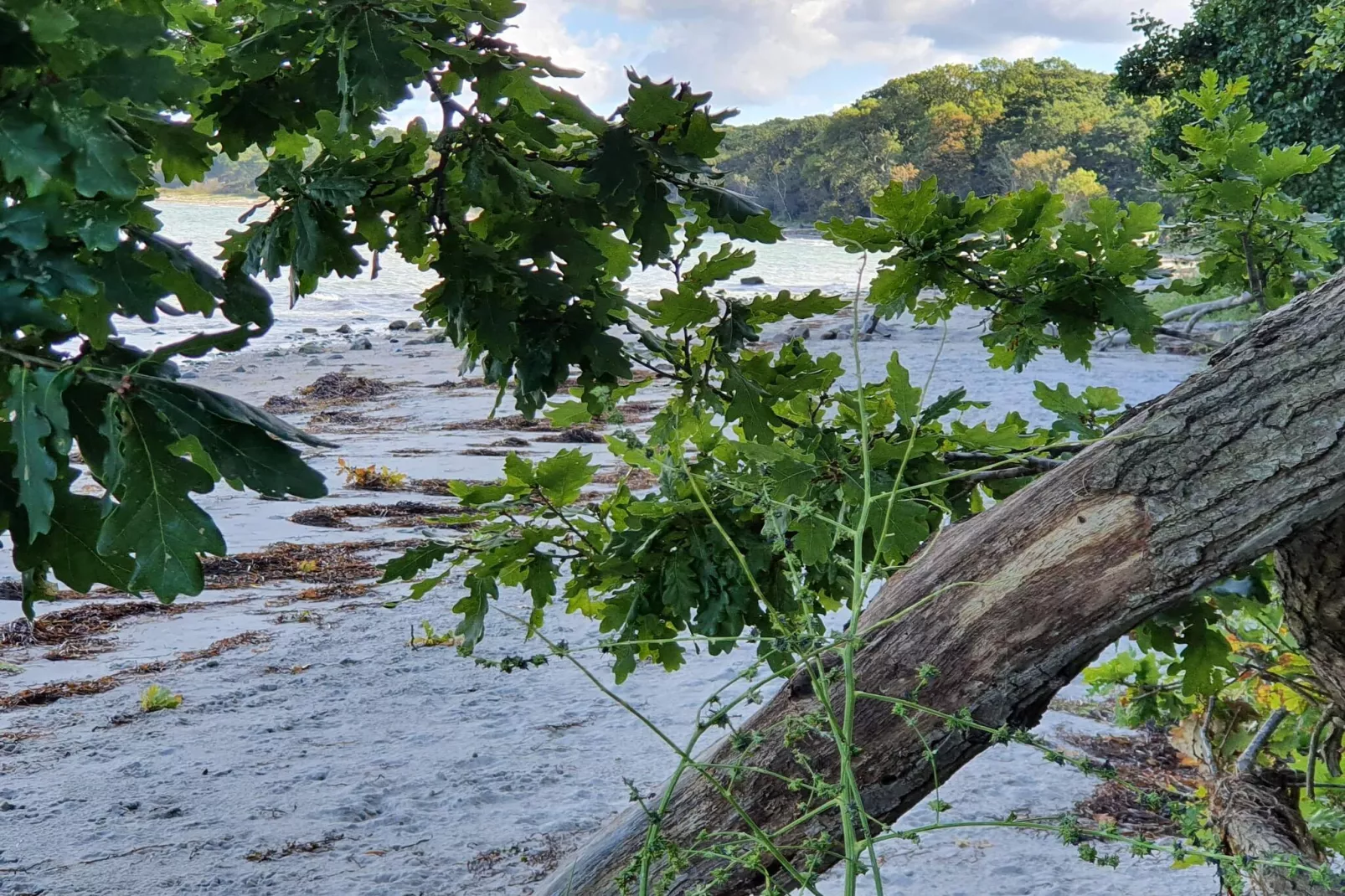 6 persoons vakantie huis in Asnæs-By Traum
