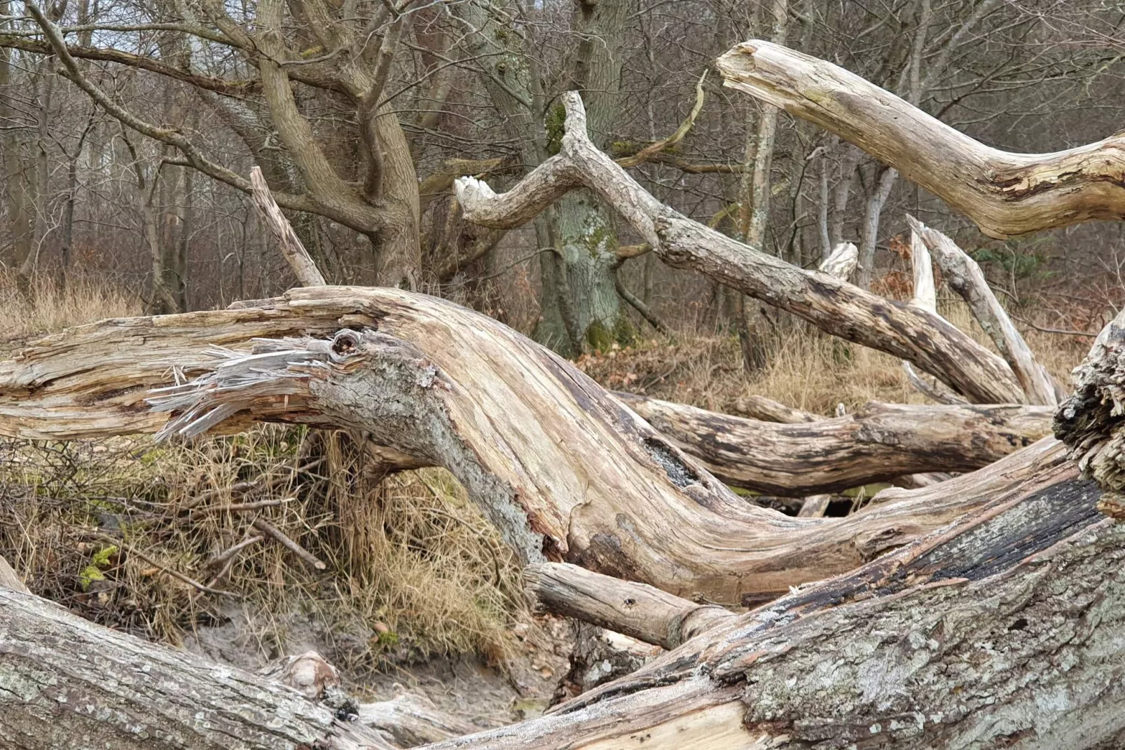 6 persoons vakantie huis in Asnæs-By Traum