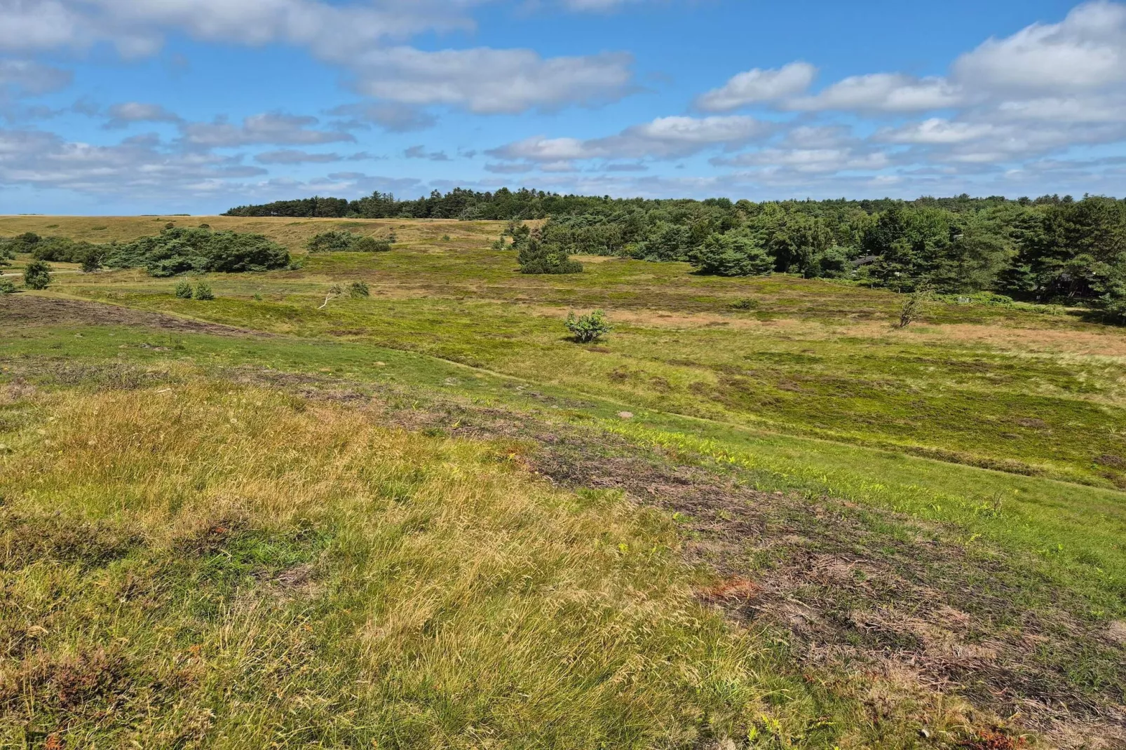 Sfeervol strandhuis -- By Traum Ferienwohnungen