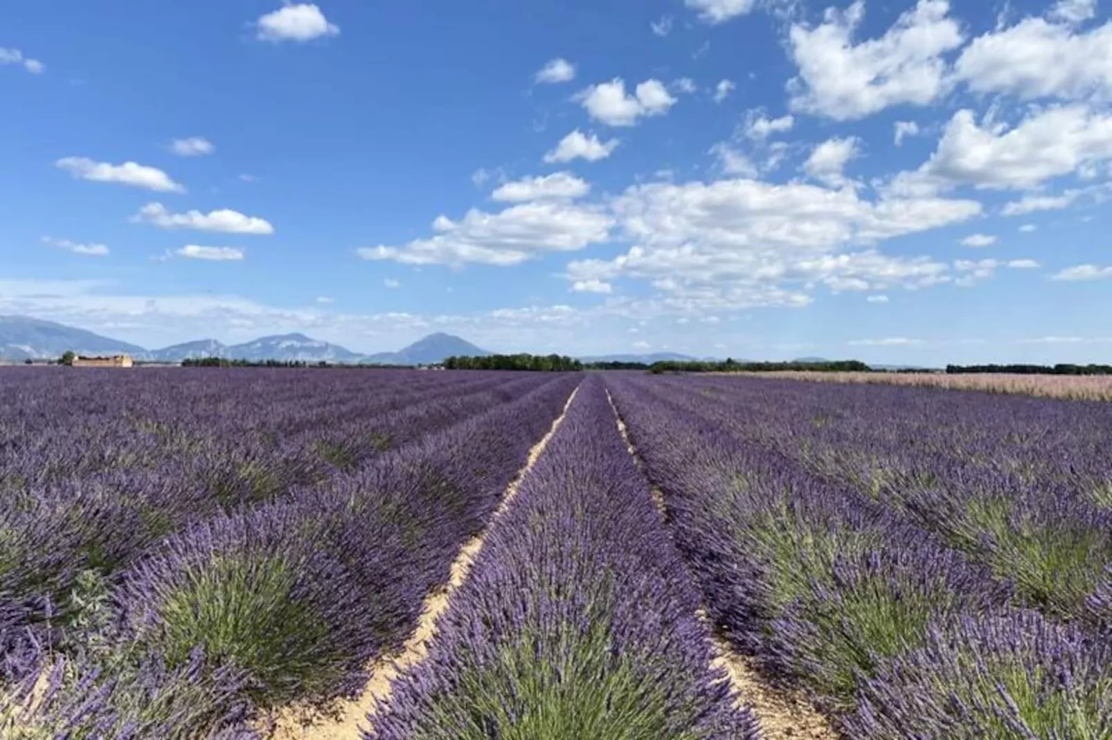 04b3: Beau T3 Au Coeur Des Lavandes - Piscine