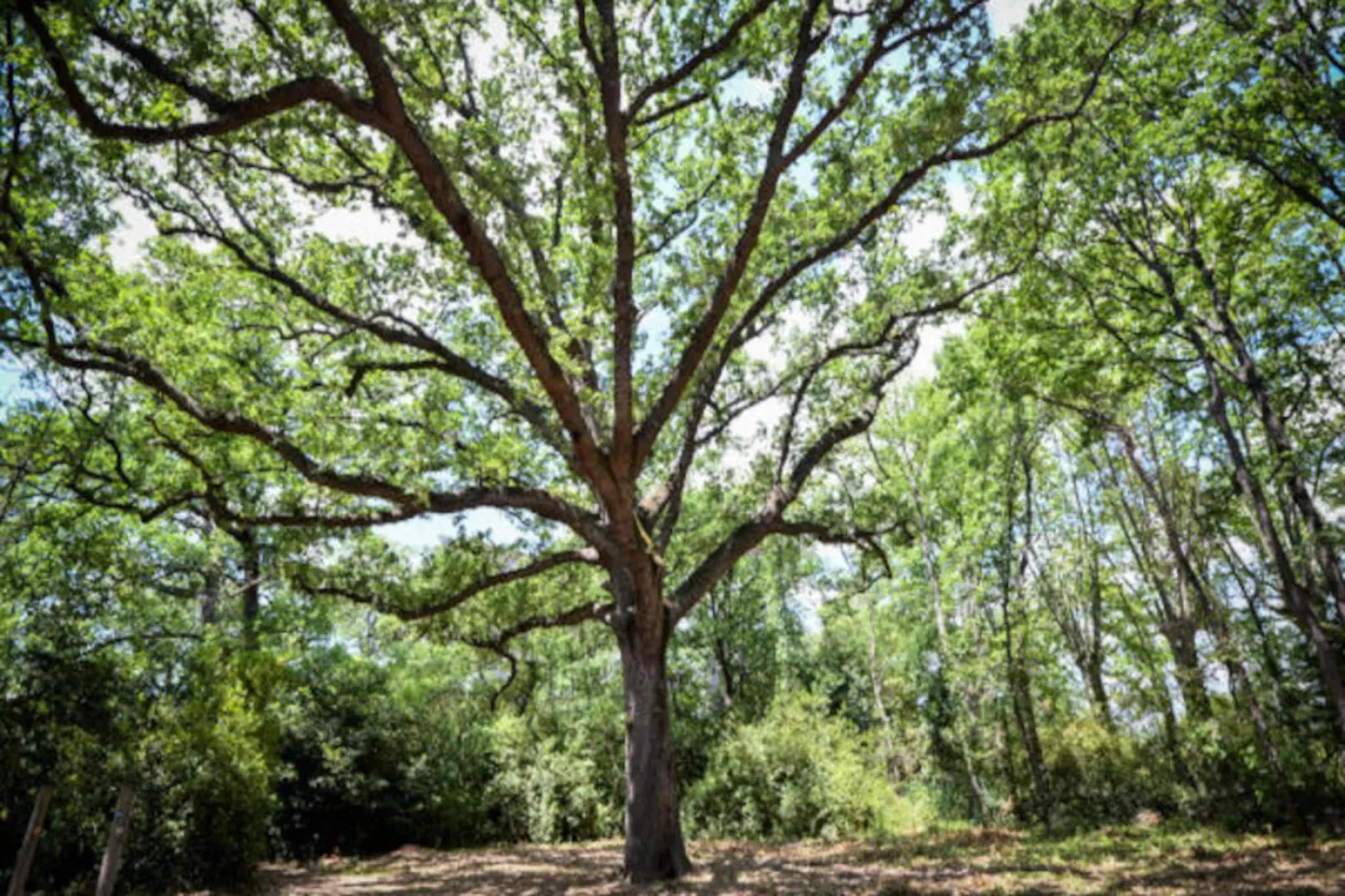 Résidence Le Château de Jouarres ***