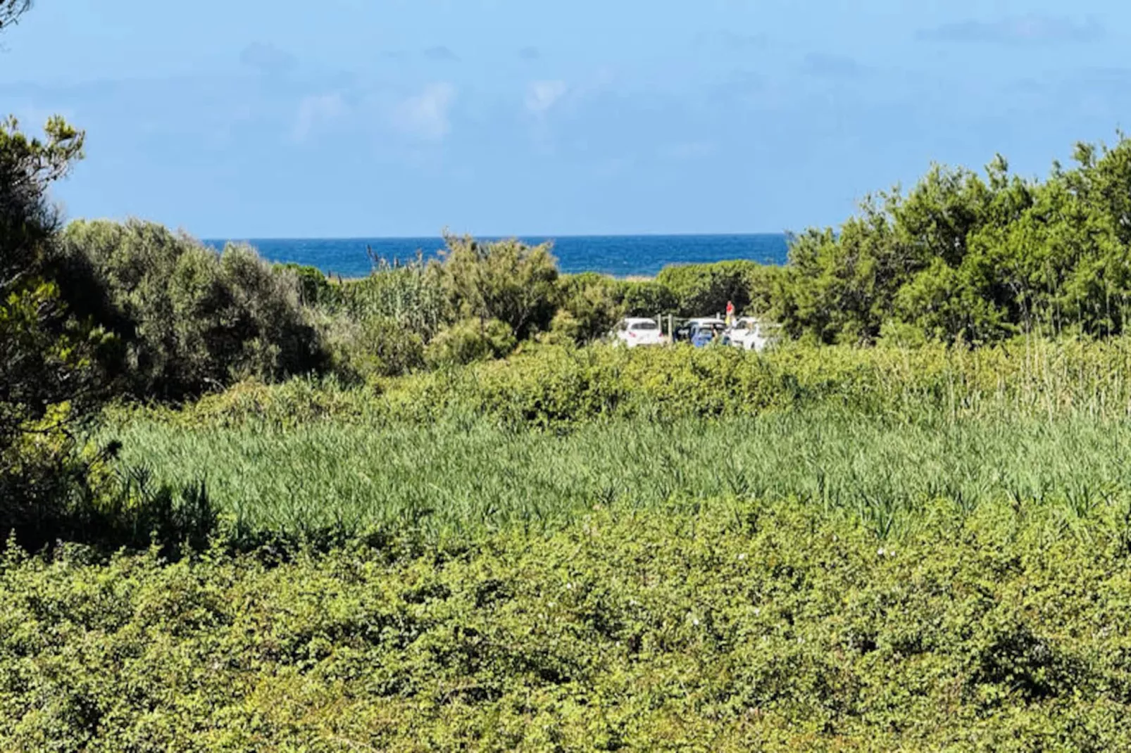 Appartements à Son Bou