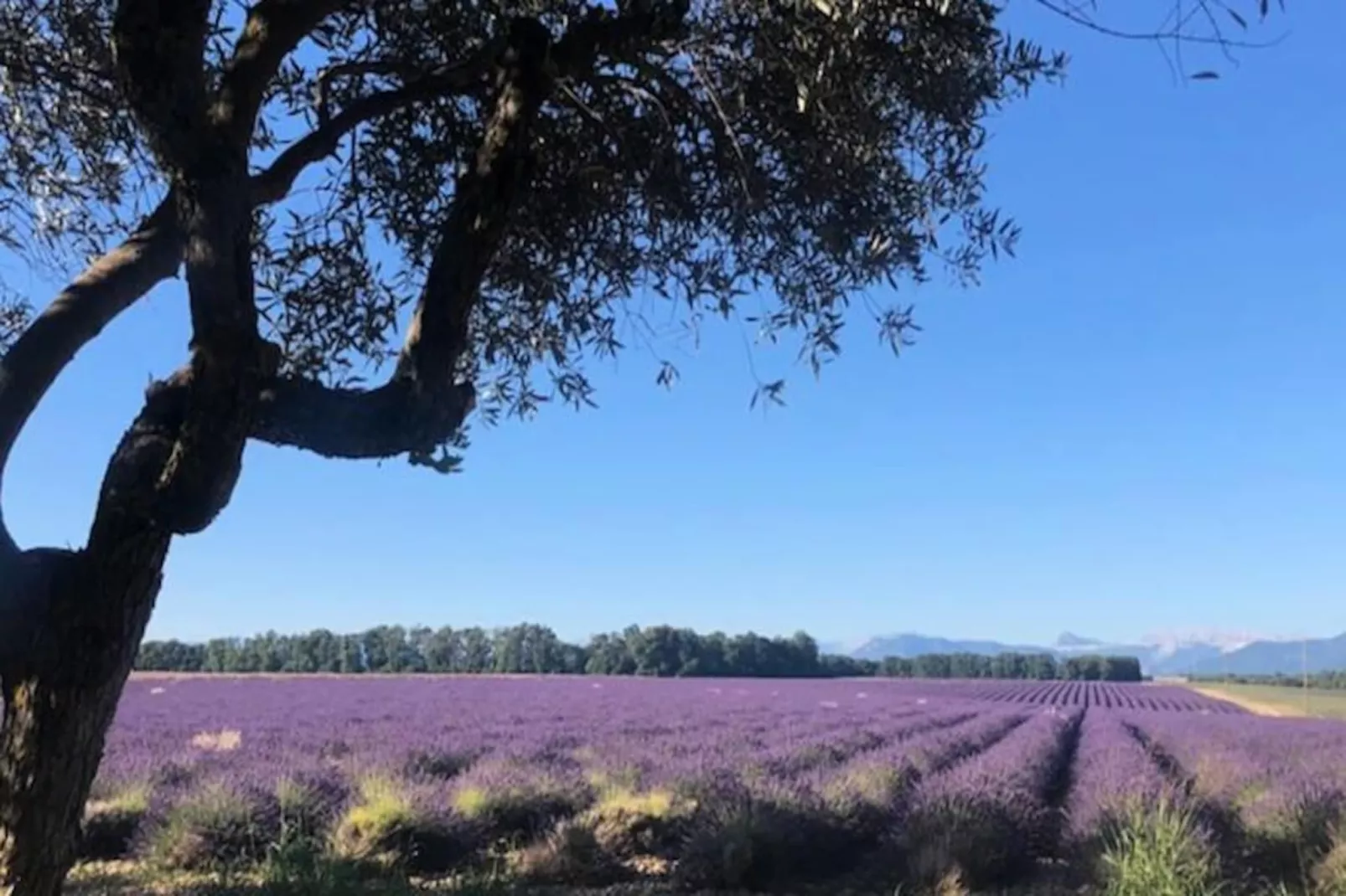 04b2 : Beau Studio Dans Un Mas Proven&ccedil;al - Piscine