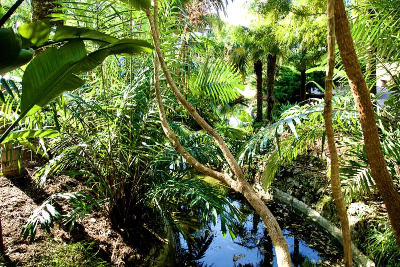 Résidence We &hearts; Cannes !  R&eacute;sidence Gallia , Appartement 2 Chambres Haut De Gamme