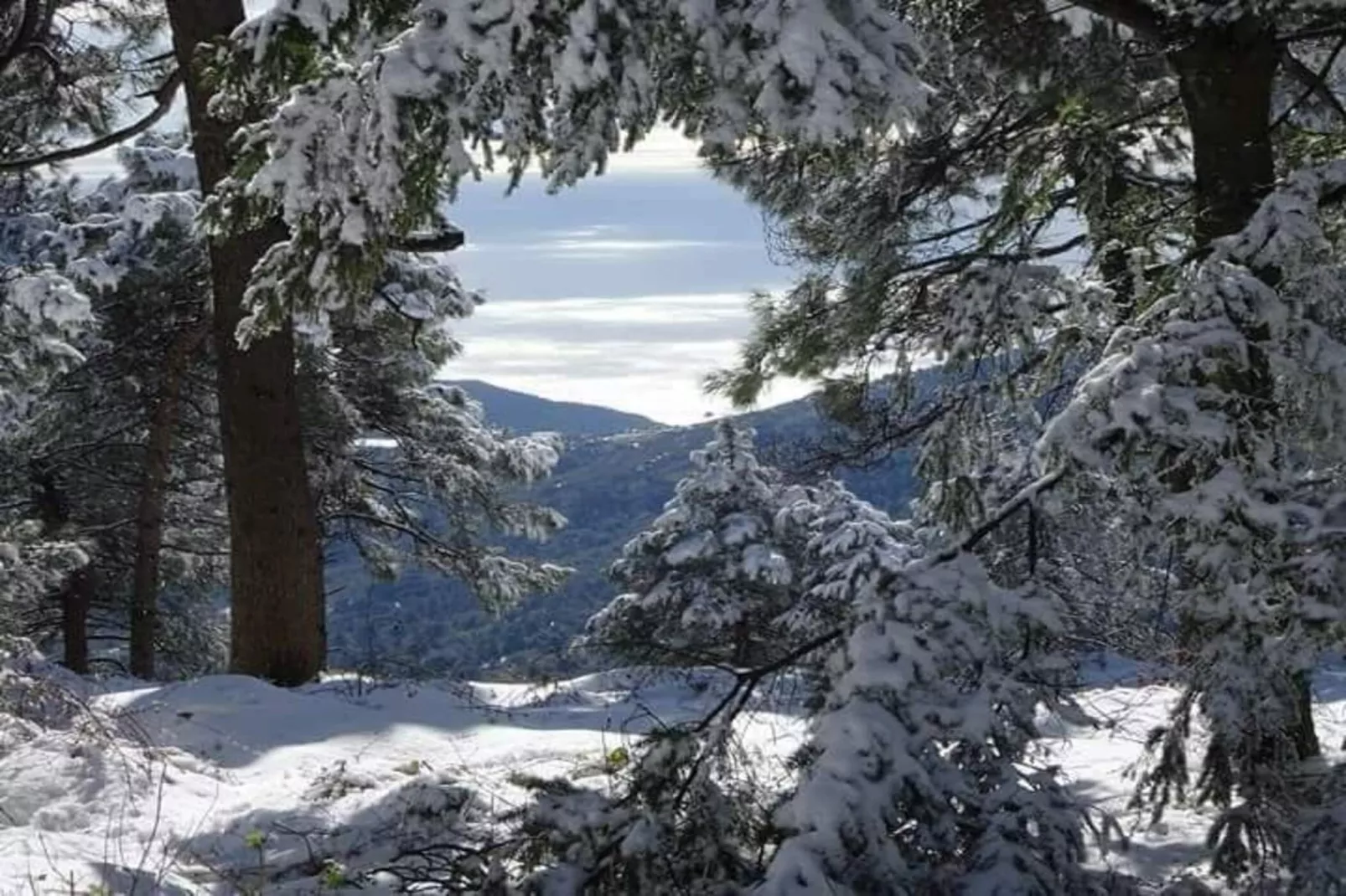 Résidence Pignals C1c