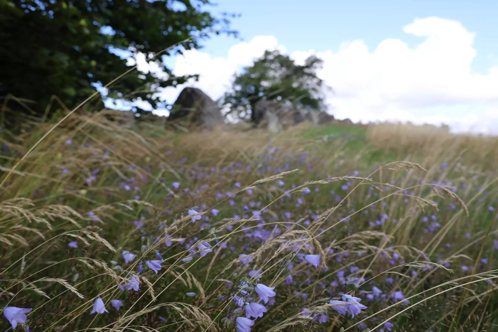6 Personen vakantie huis in Grevinge-By Traum-Niet-getagd