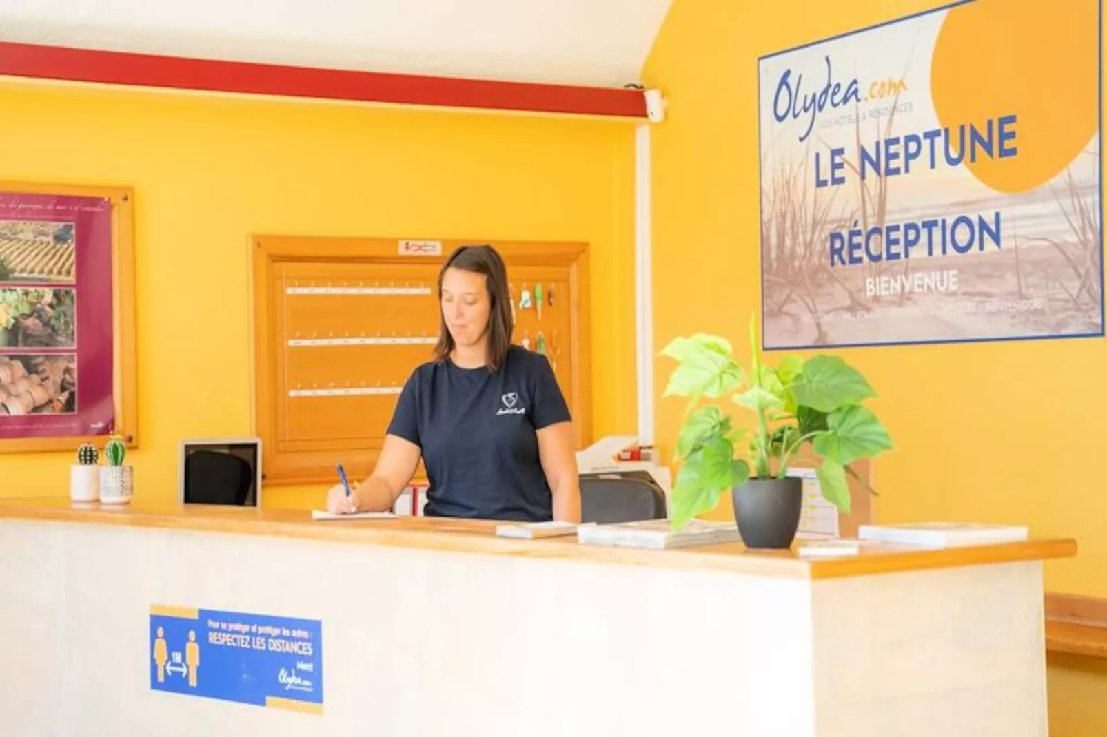 Olydéa - Résidence Le Neptune ***-Image-tags.