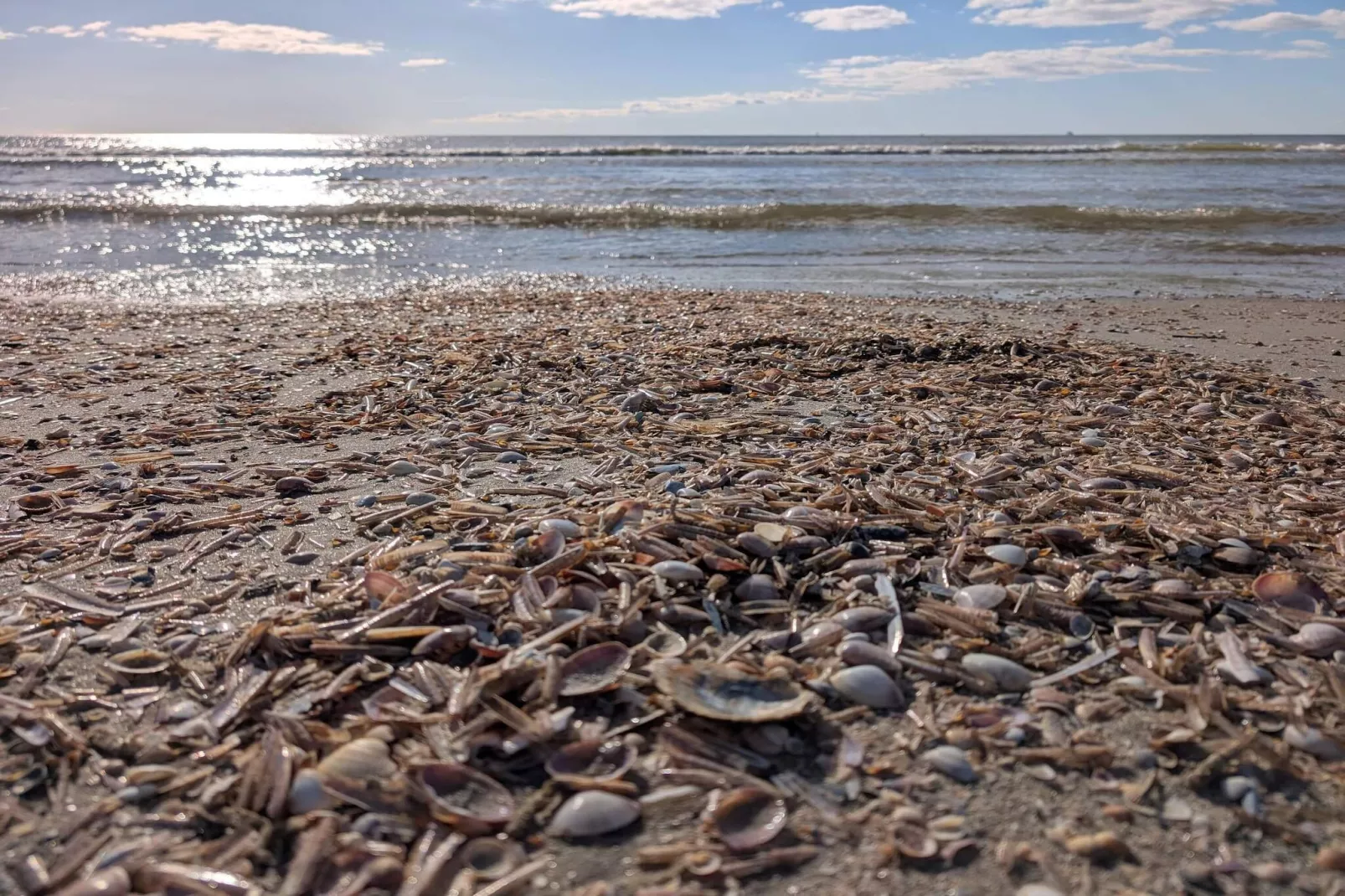 6 persoons vakantie huis in Fanø-By Traum-Waterzicht