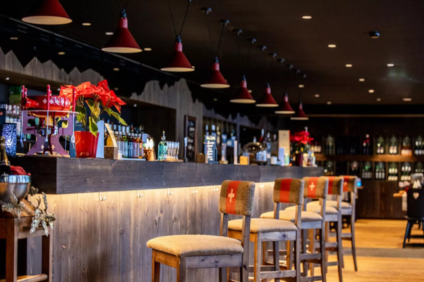 Résidence SWISSPEAK Resorts Vercorin-Image-tags.