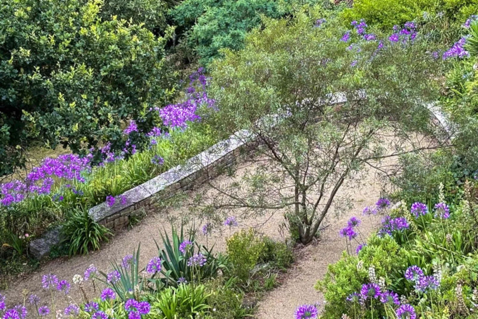 Maison à Trebeurden-Image-tags.