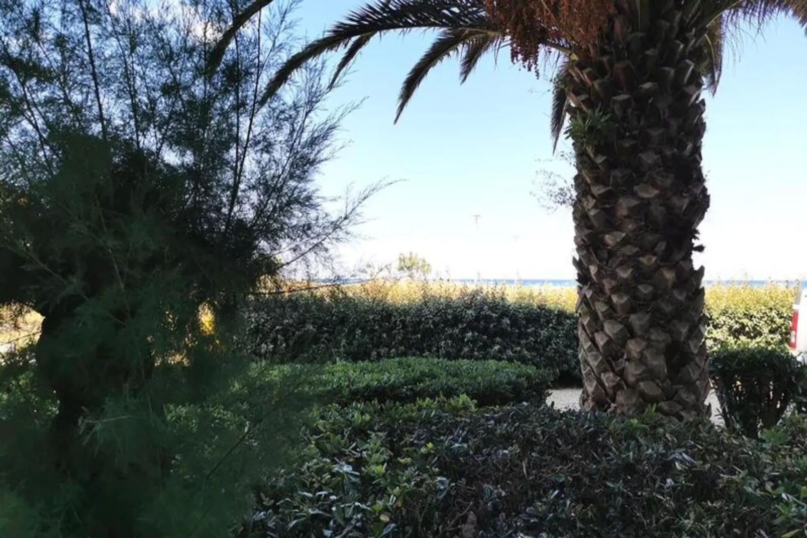 Résidence Les Cyclades-Gebieden zomer 1km