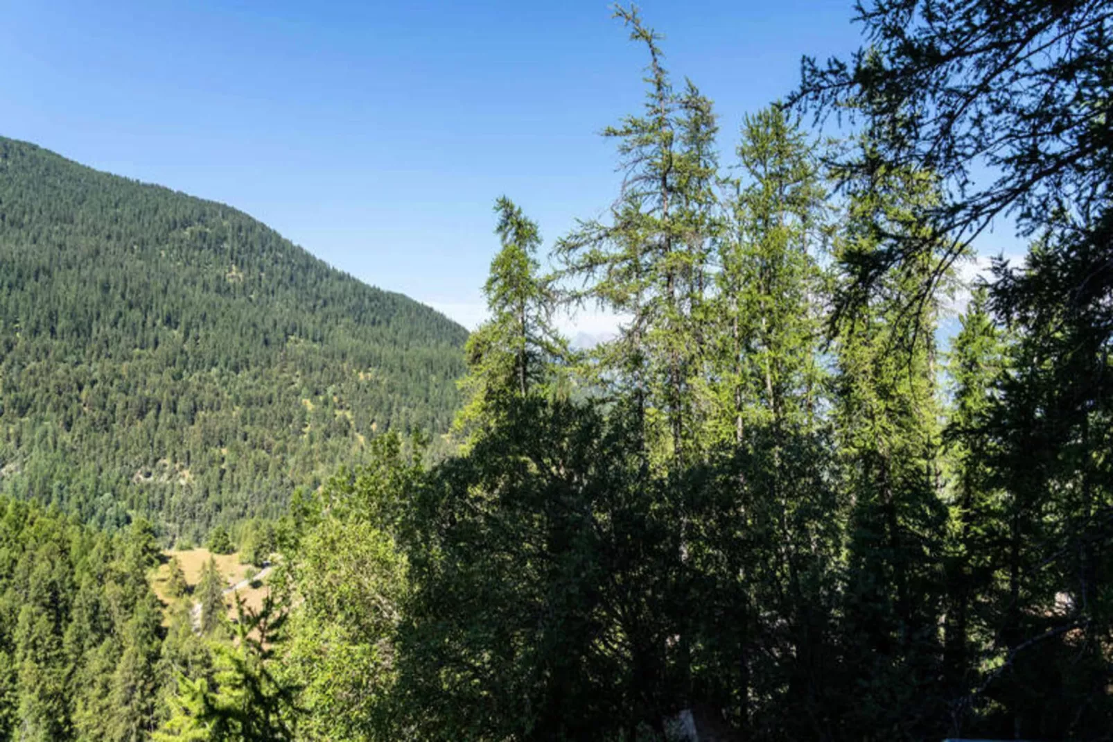 Résidence Le Belvedere - Uitzicht zomer