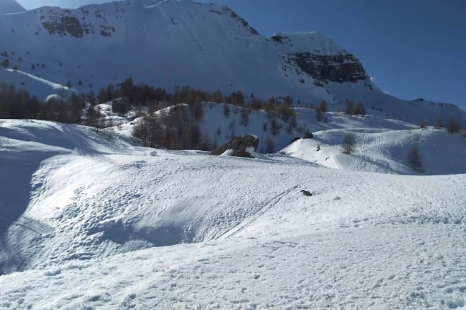 Résidence La Piloselle-Buitenkant zomer