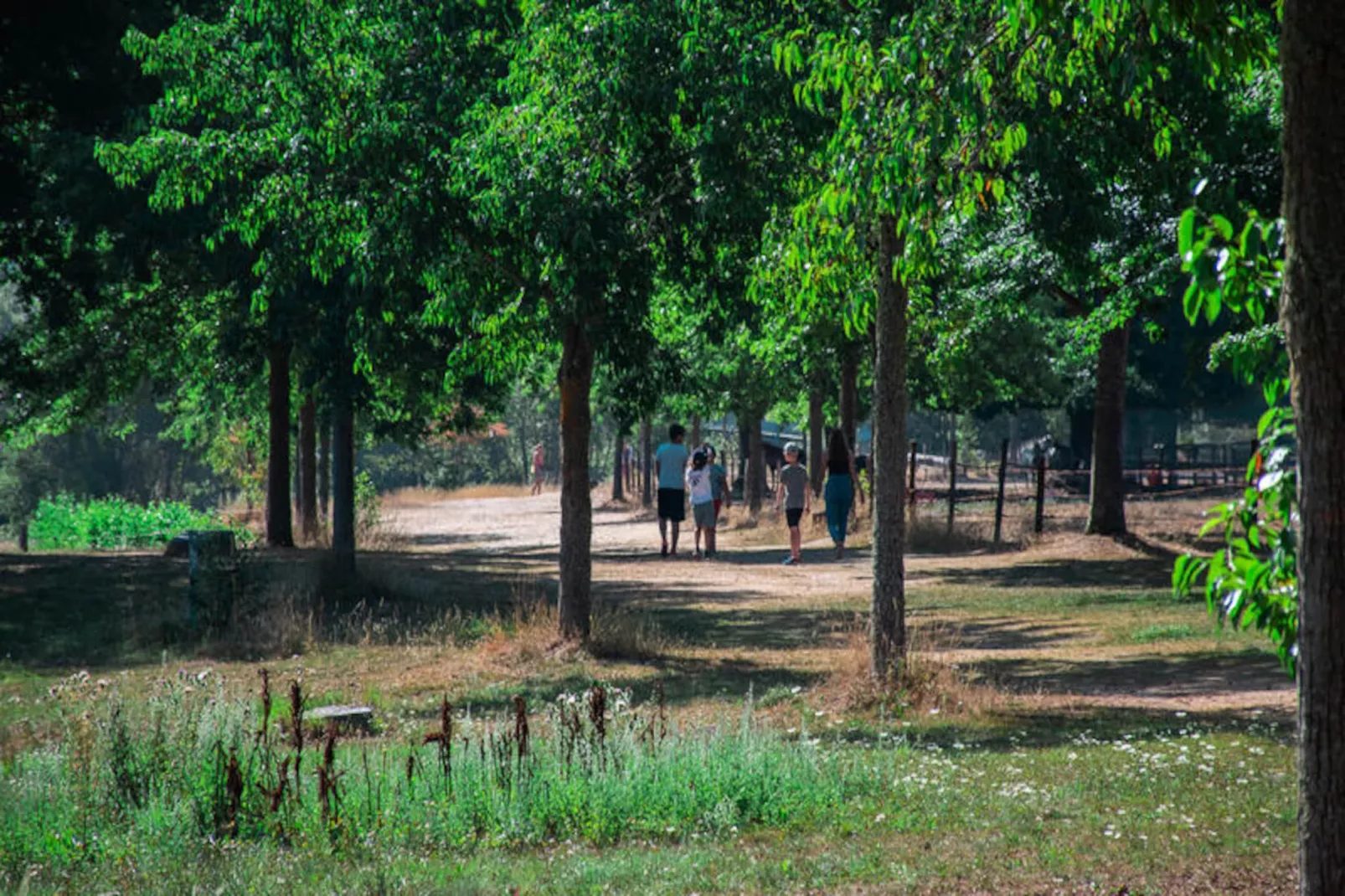 Maison à Le Malzieu Ville-Image-tags.