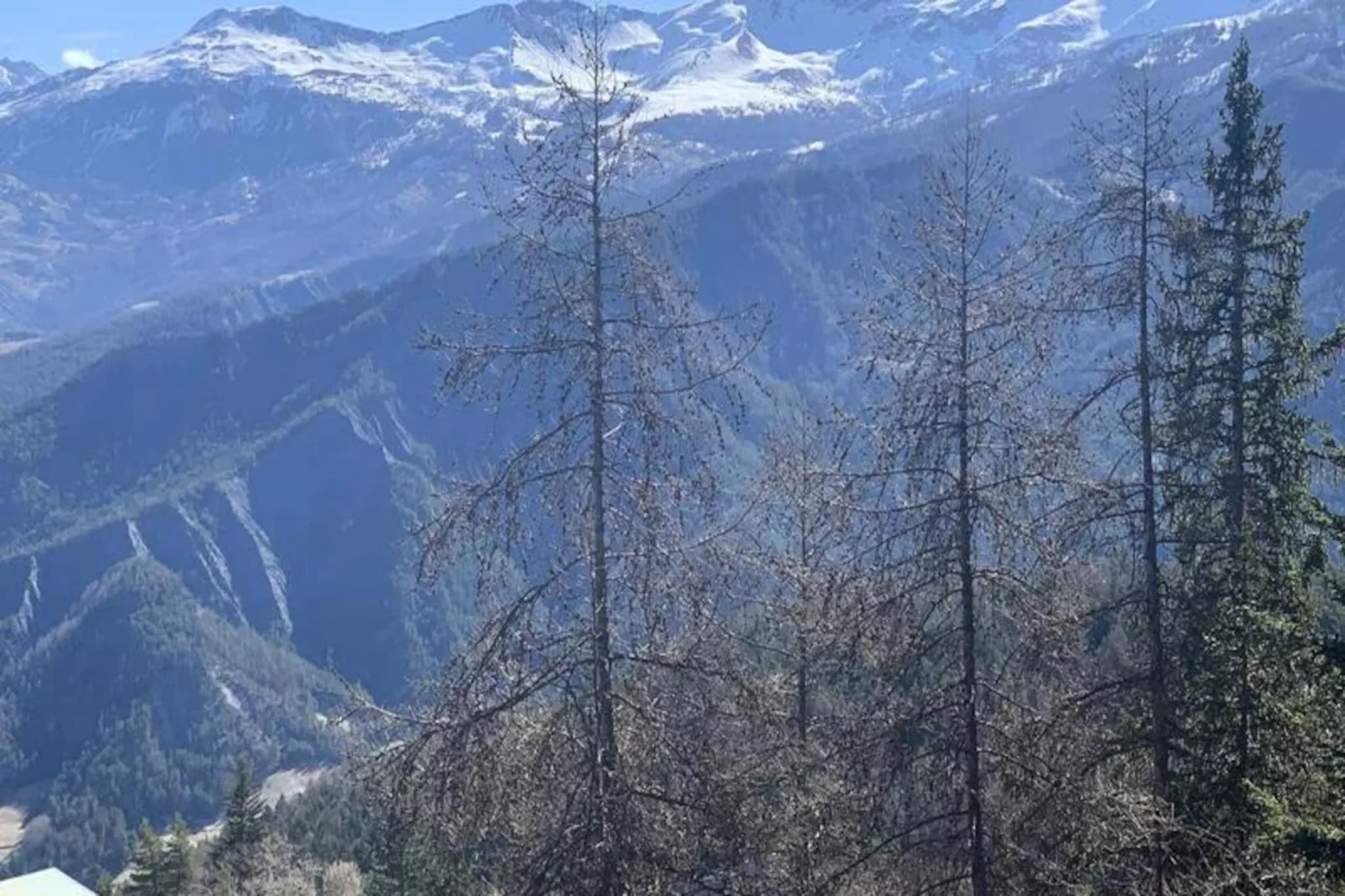 Résidence Cheverny 3-Image-tags.