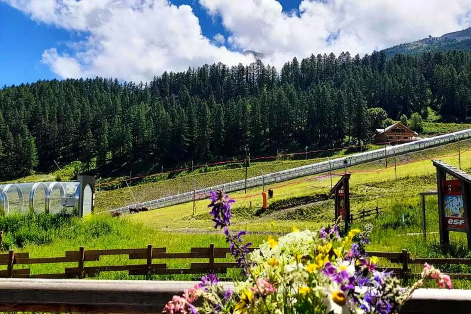 Résidence Le Parc Des Airelles - Gebieden zomer 1km