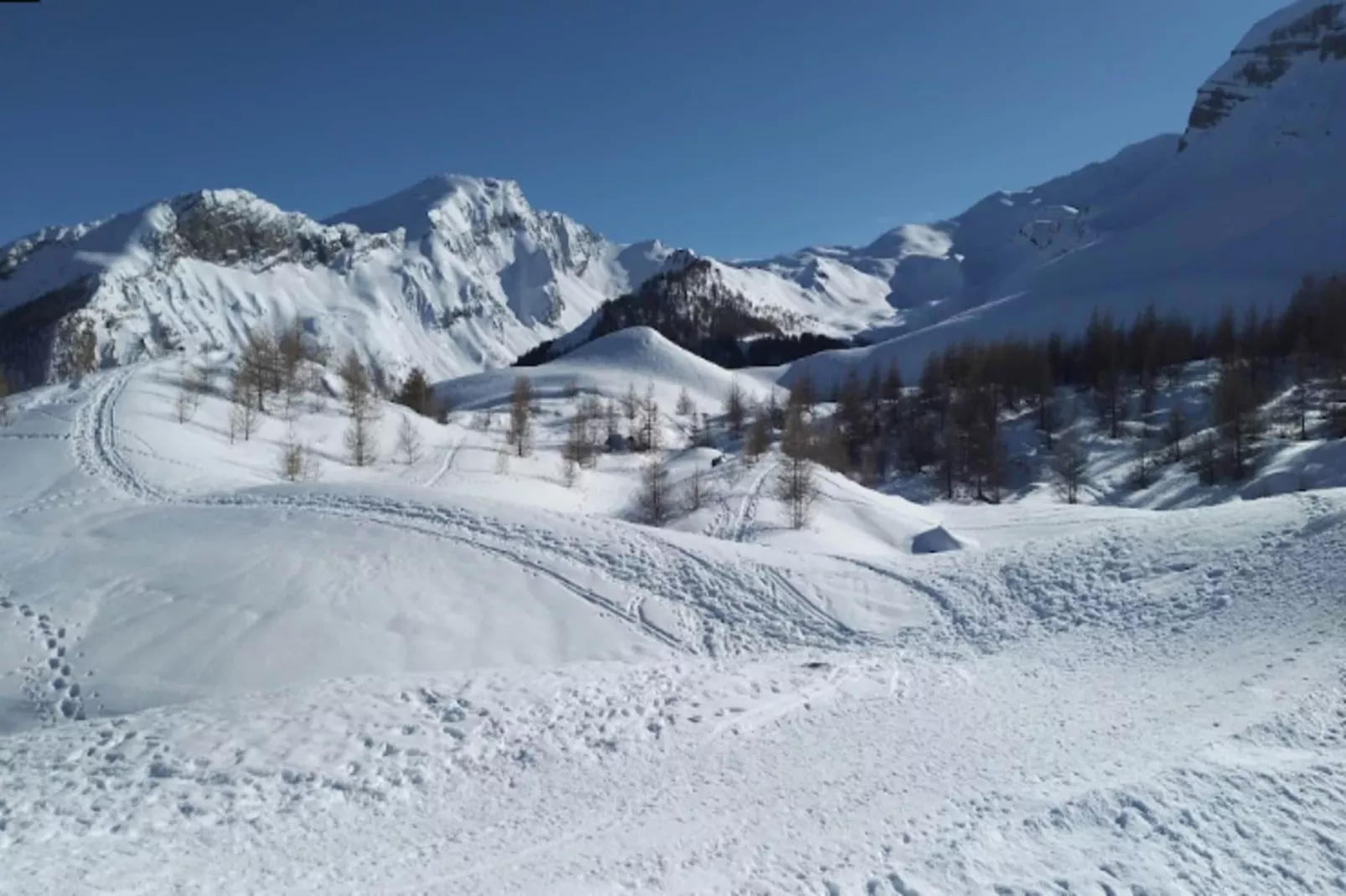 Résidence La Piloselle-Buitenkant zomer