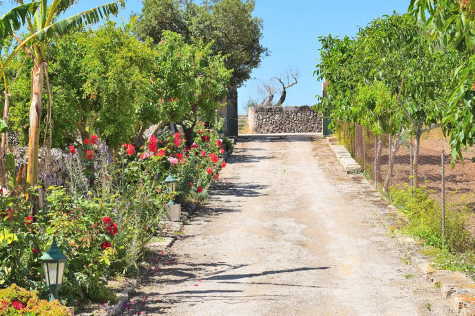 Maison à Santa Margalida-Image-tags.