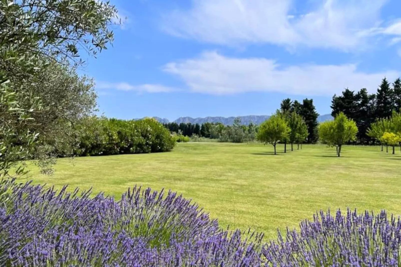 Mas De Pani&egrave;re - Saint Remy De Provence-Image-tags.