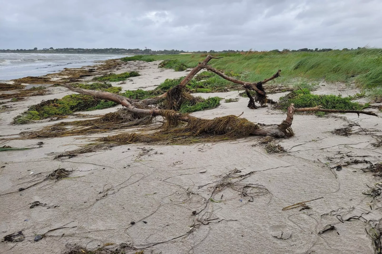 6 persoons vakantie huis in Slagelse-By Traum-Waterzicht