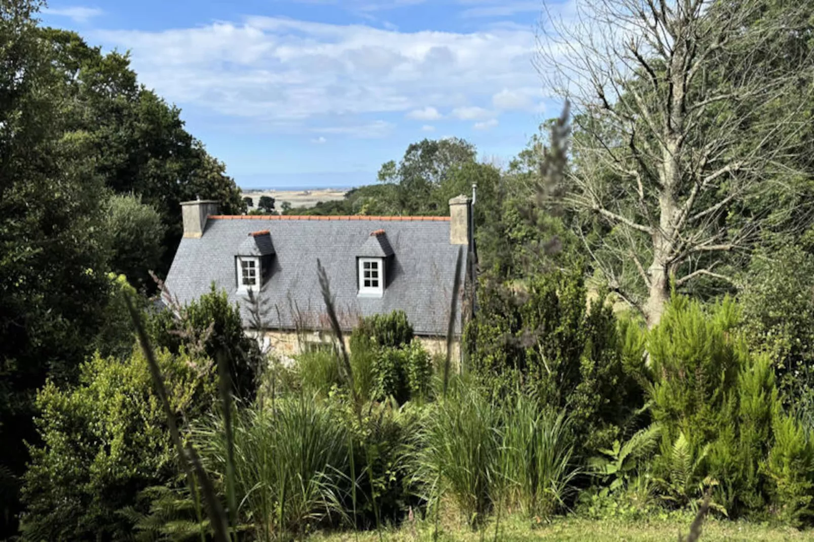 Maison à Plougrescant-Image-tags.