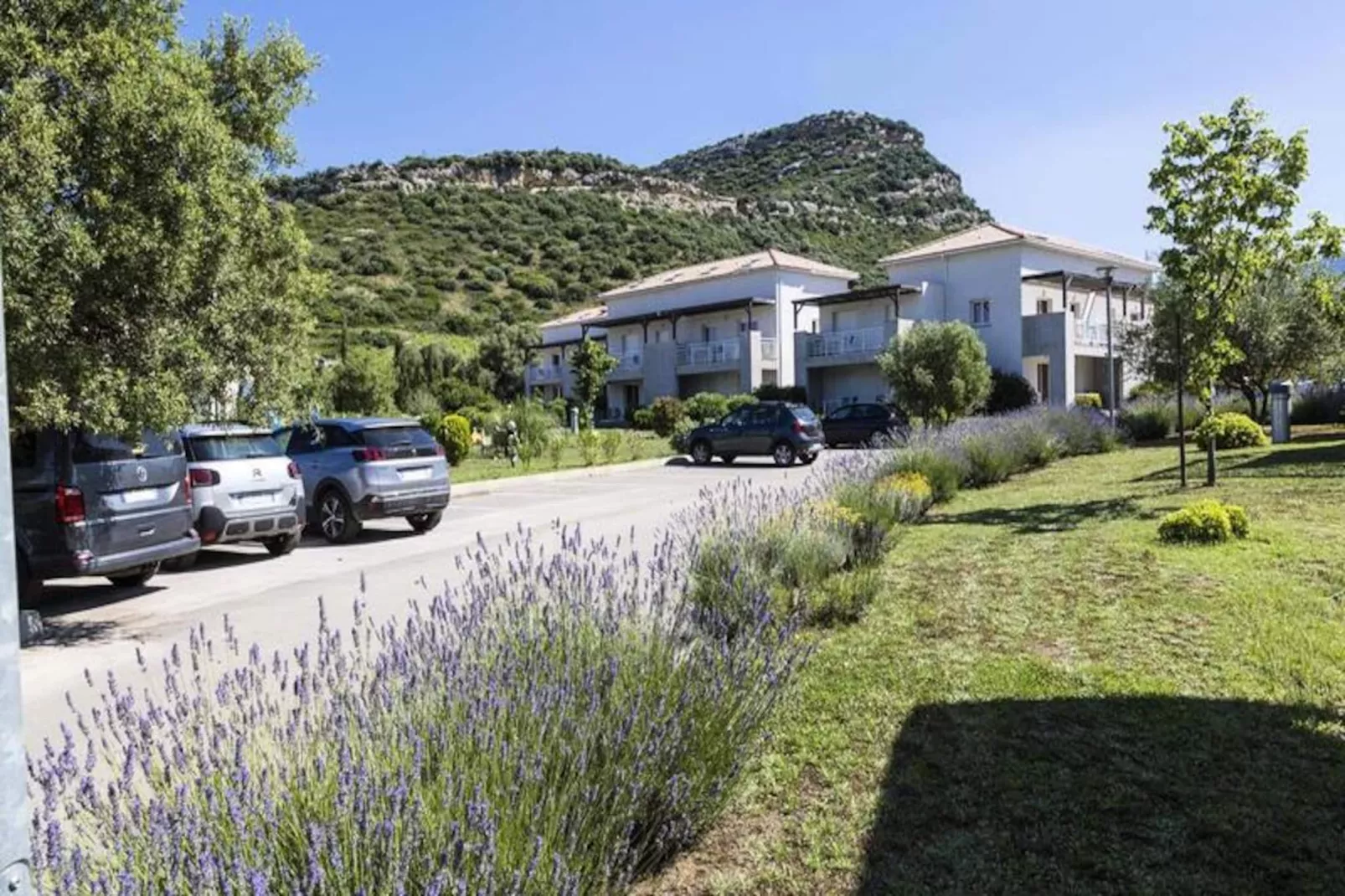 Résidence Odalys Casa d'Orinaju-Image-tags.