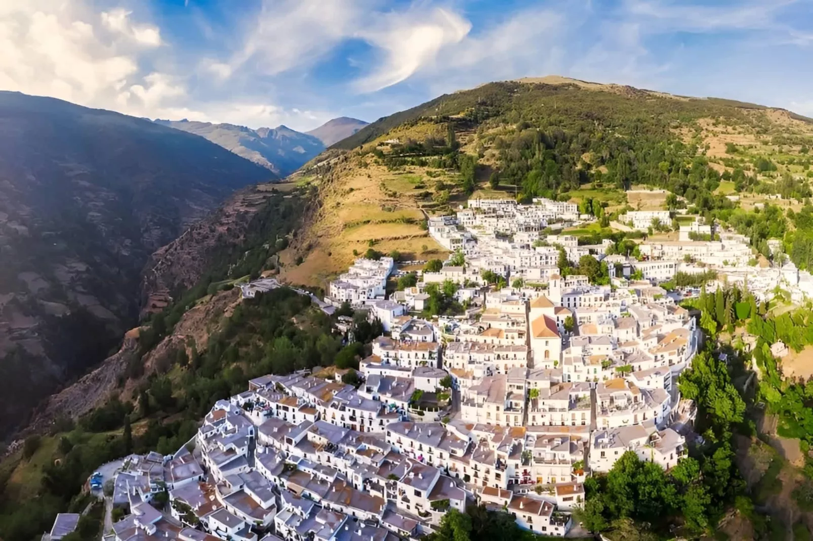 3391-Andres-307-Gebieden zomer 1km