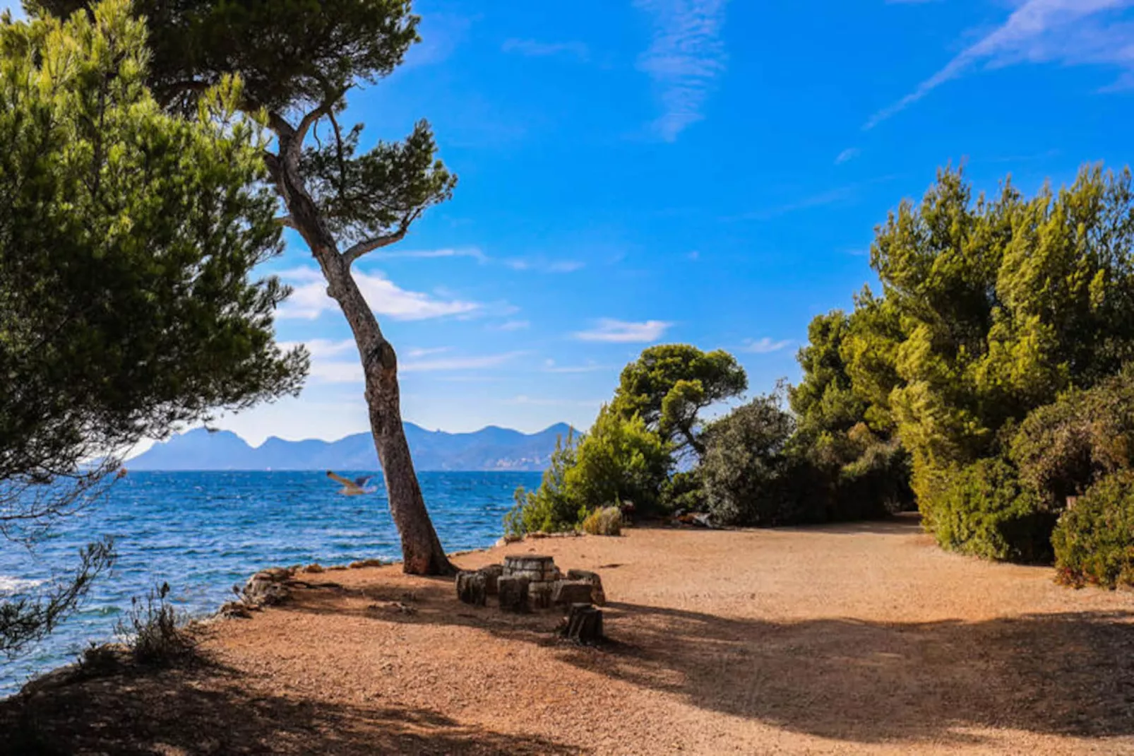 Résidence Grand 2 Pi&egrave;ces, Bv De La Croisette Palm Beach, Face Bijou Plage ☀st James☀-Image-tags.