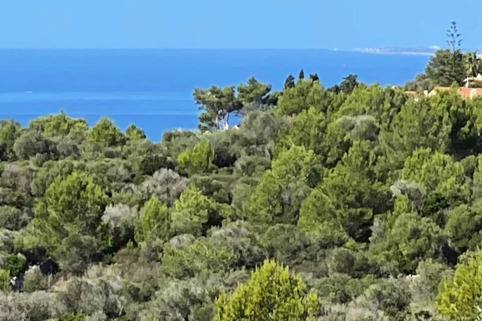 Maison à Son Bou-Image-tags.