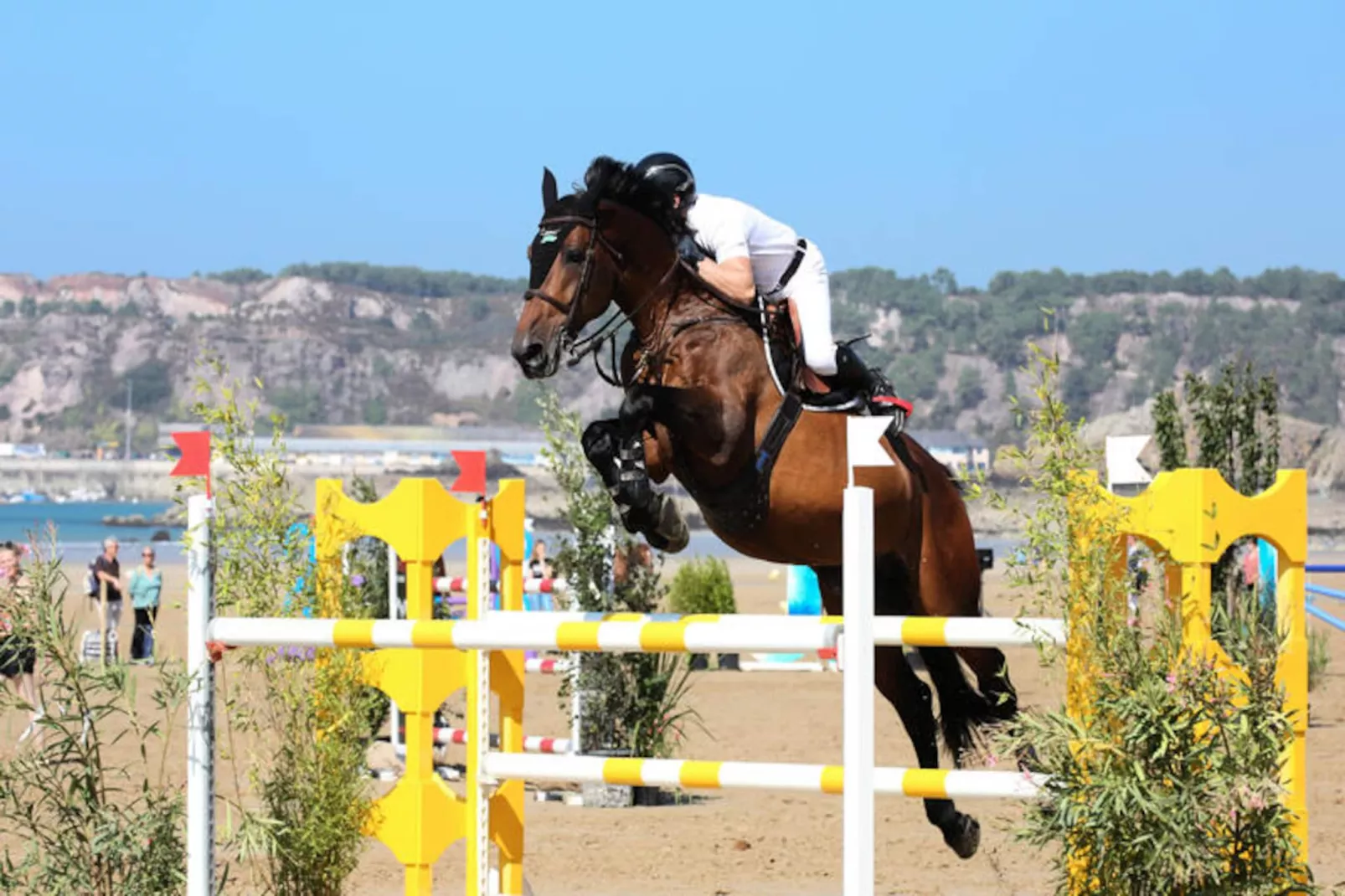 Appartements à Erquy-Niet-getagd