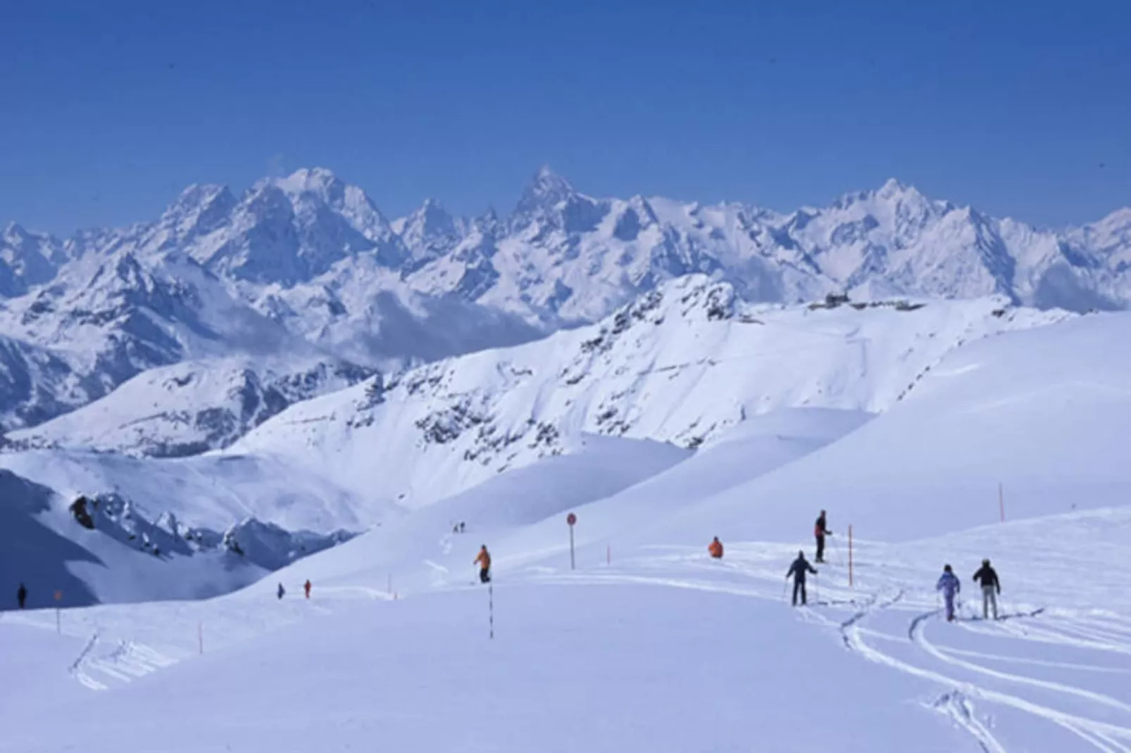 Chalet Carlines-Image-tags.