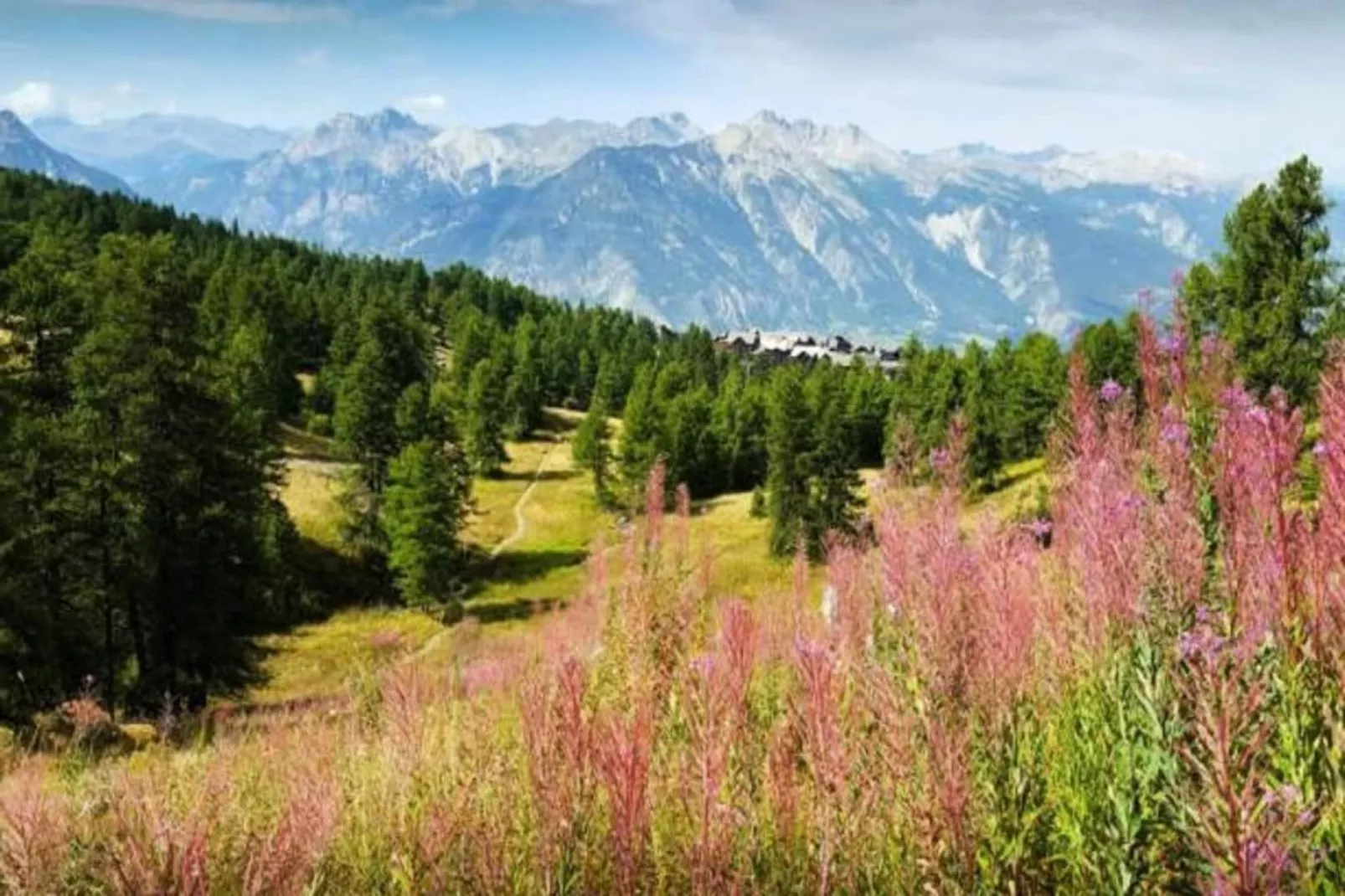 Résidence Colchiques - Uitzicht zomer