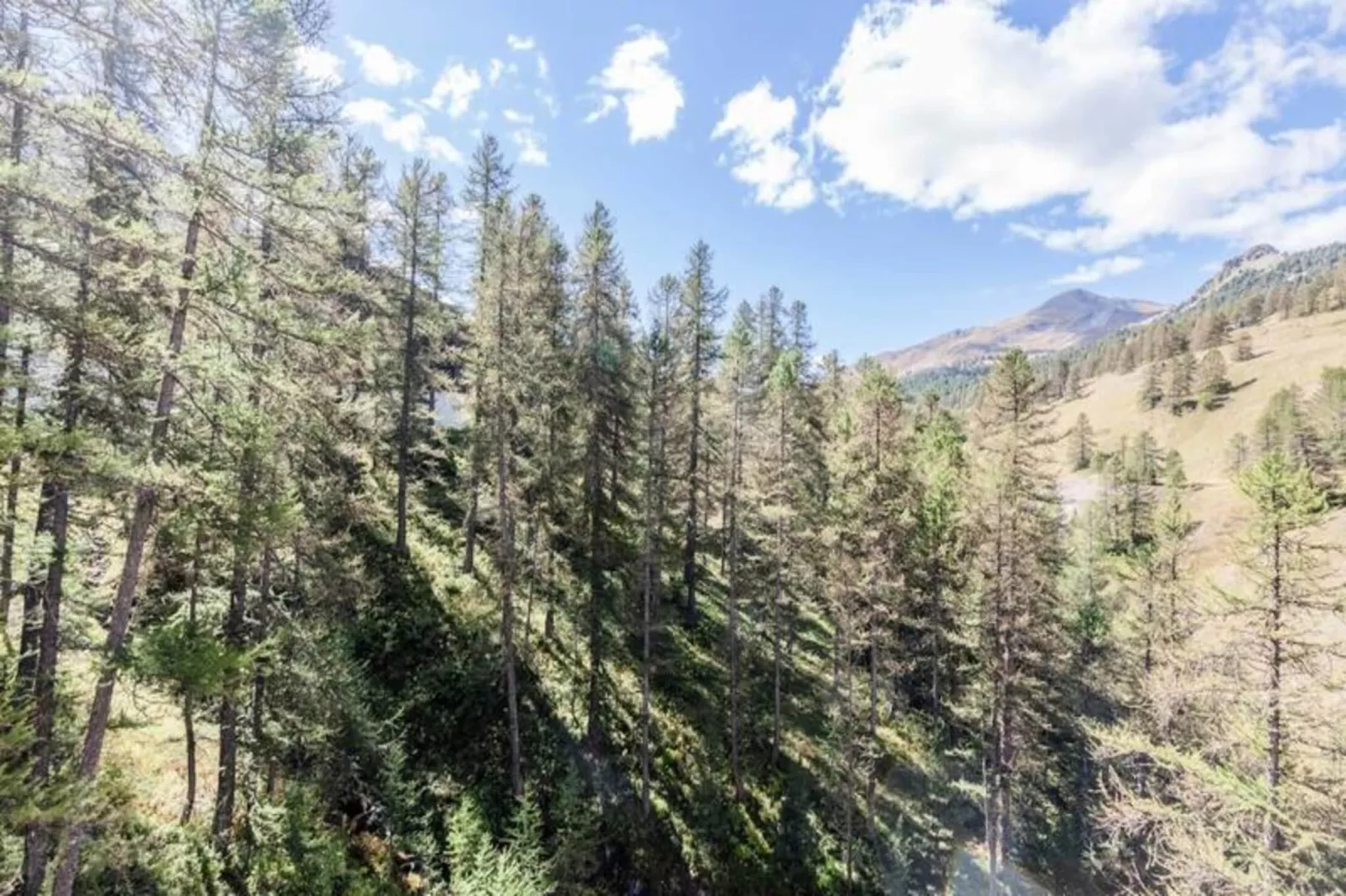 Résidence L'Eyssina - maeva Home - Uitzicht zomer