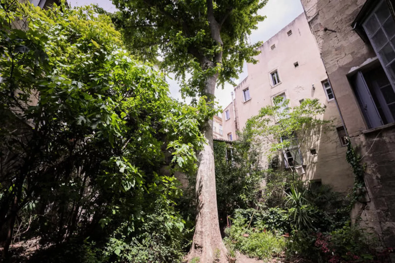 Appartements à Montpellier-Image-tags.