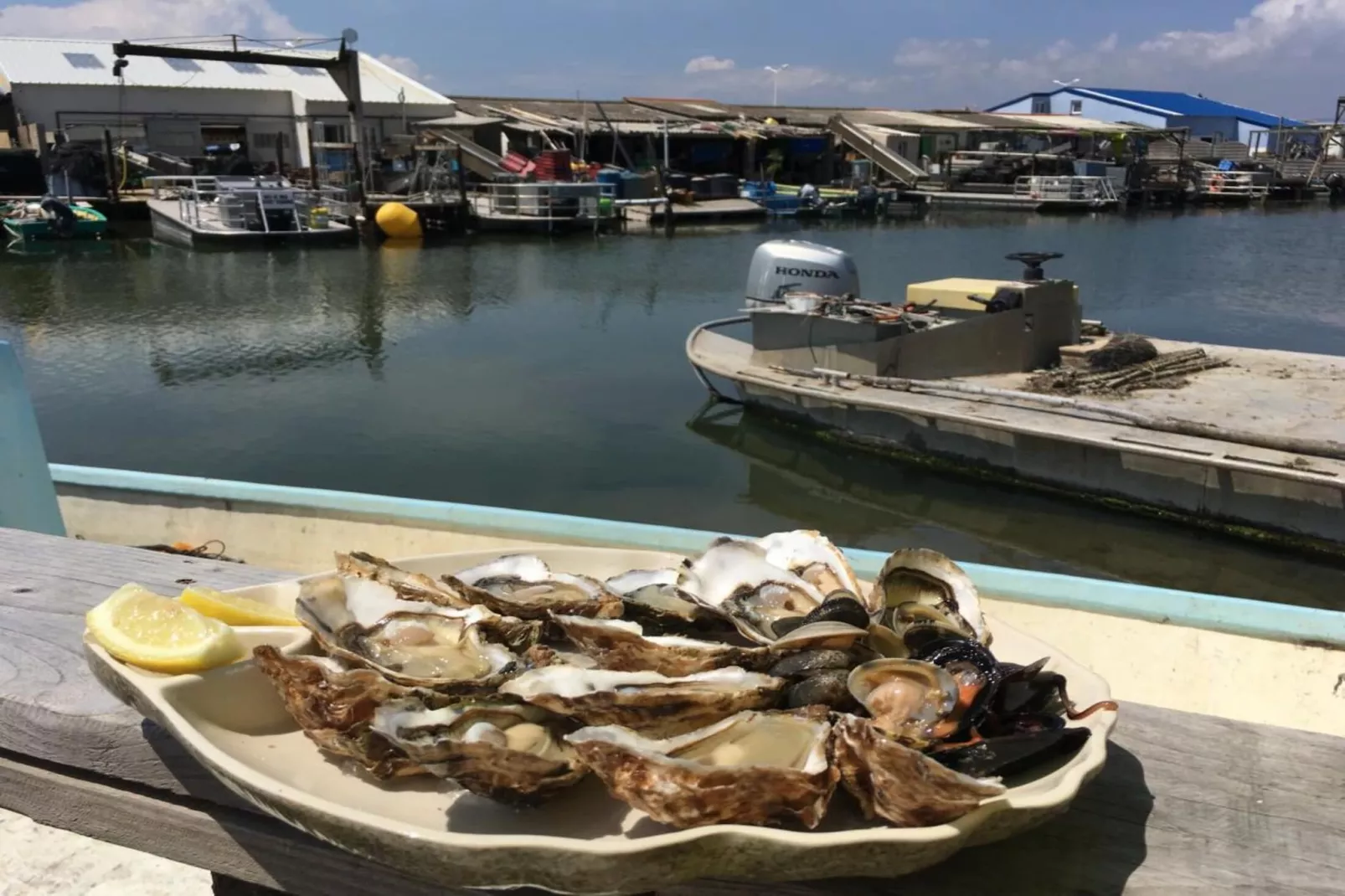 Résidence Les Captivantes-Buitenkant zomer