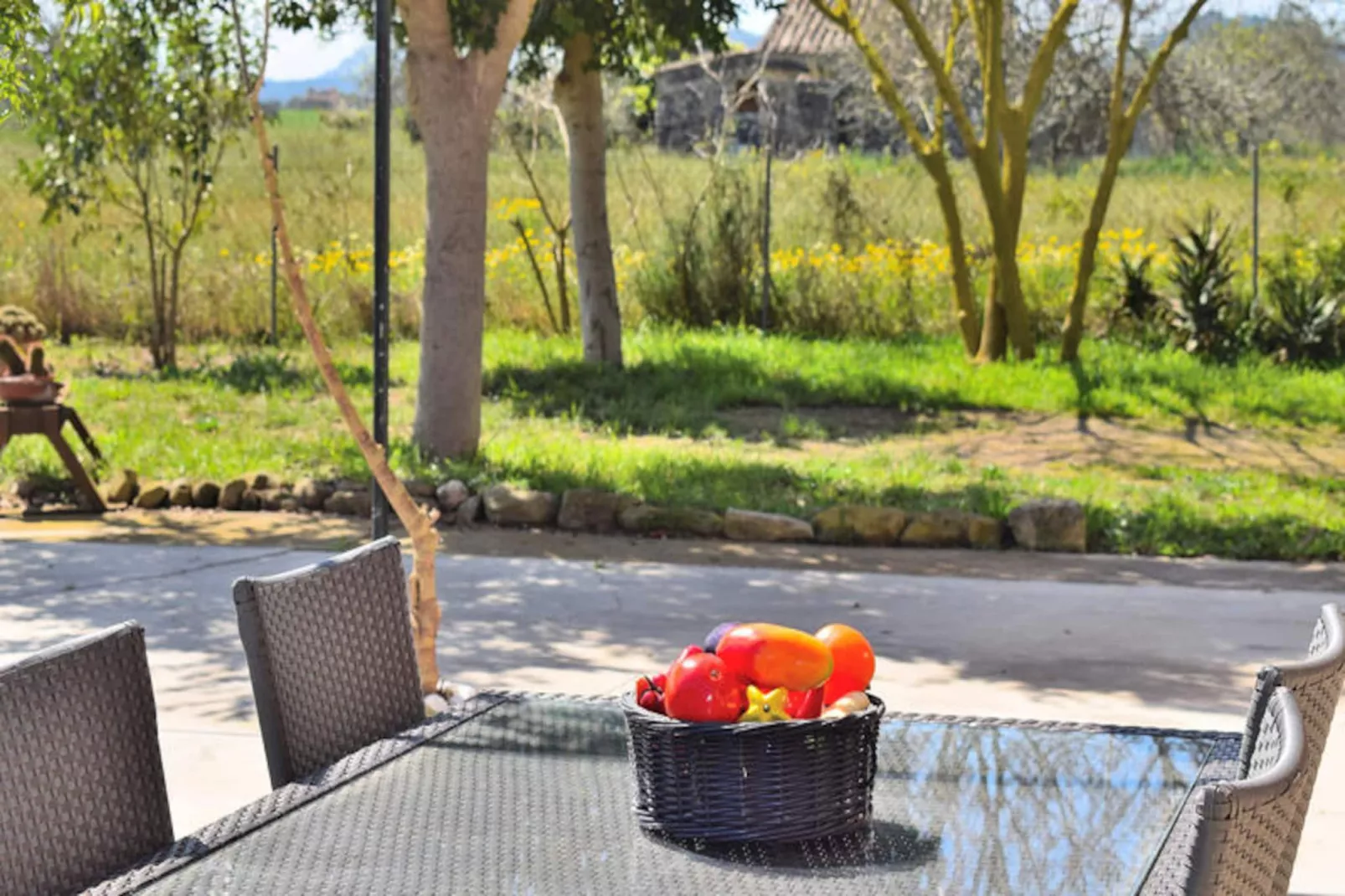 Maison à Sineu-Image-tags.