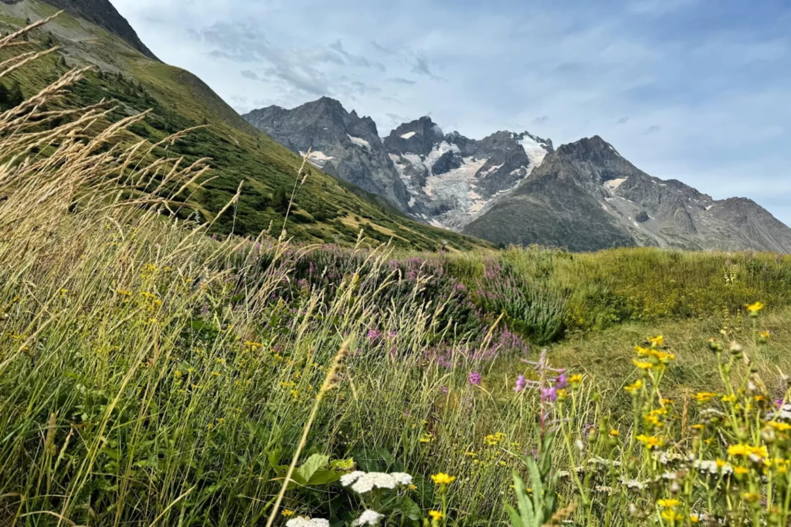 Résidence L'Alpaga - maeva Home-Gebied winter 5km
