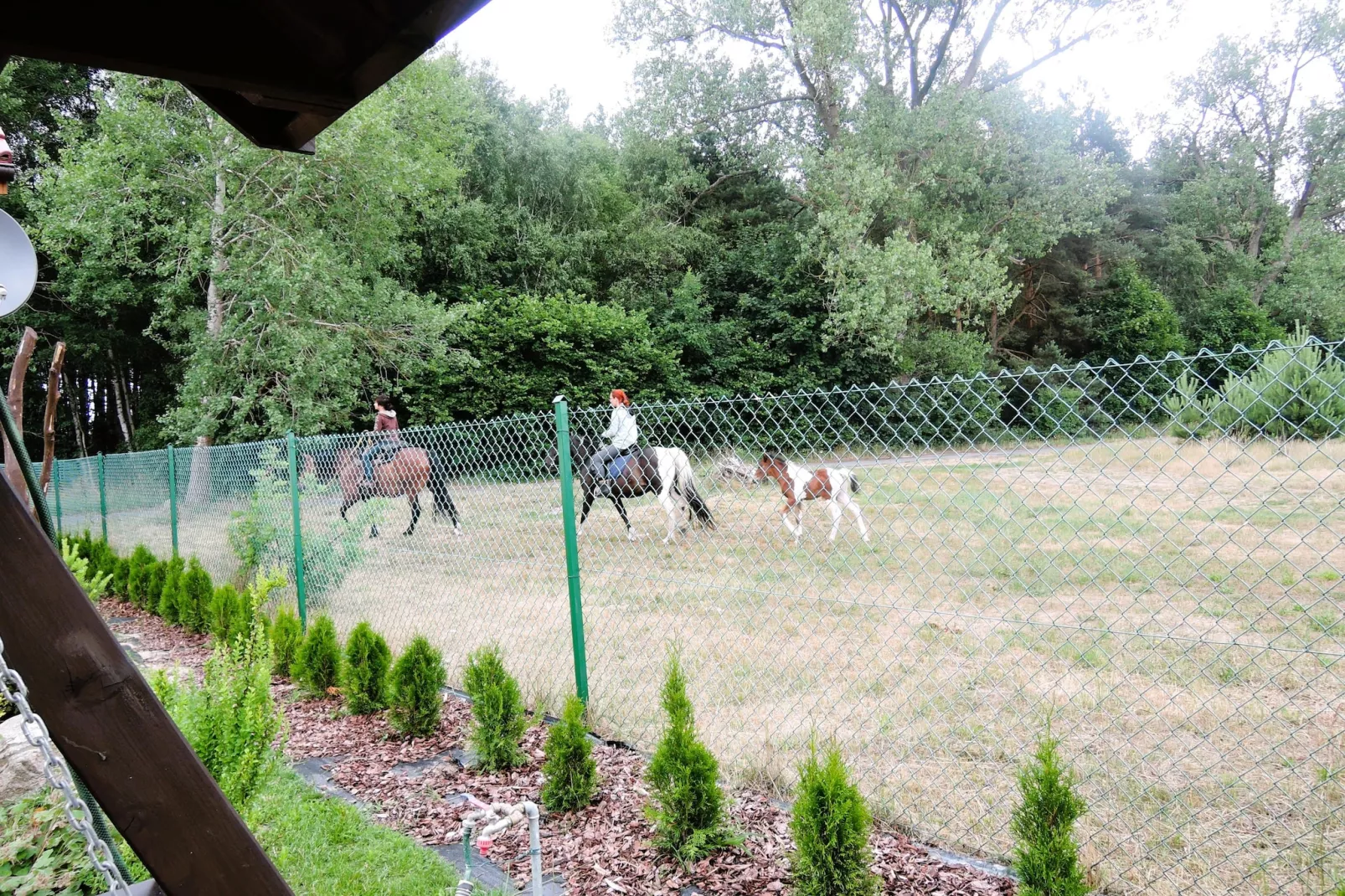 Holiday home Kolczewo Leszowka-Uitzicht zomer