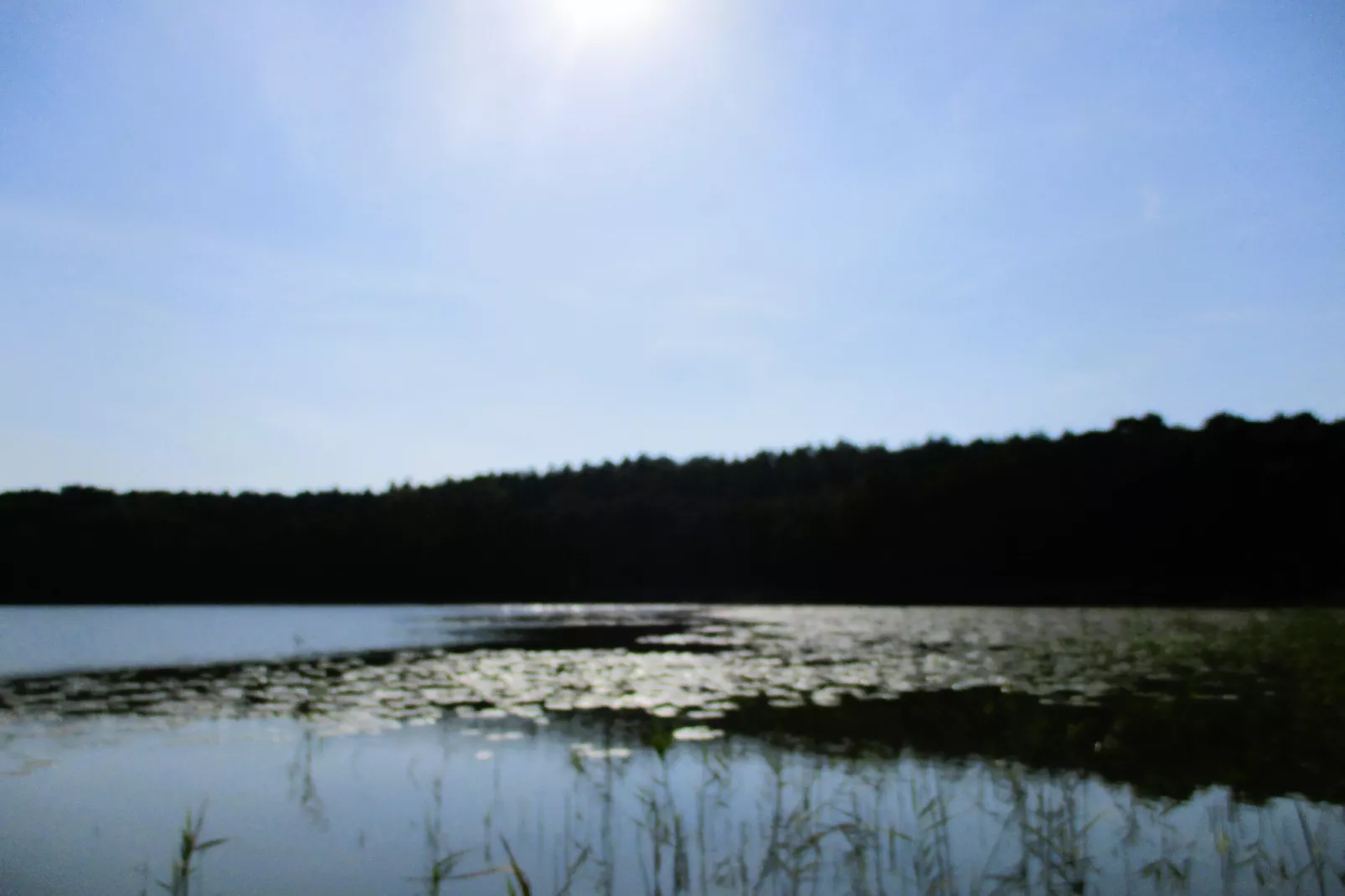 Holiday home Kolczewo Leszowka-Gebieden zomer 1km