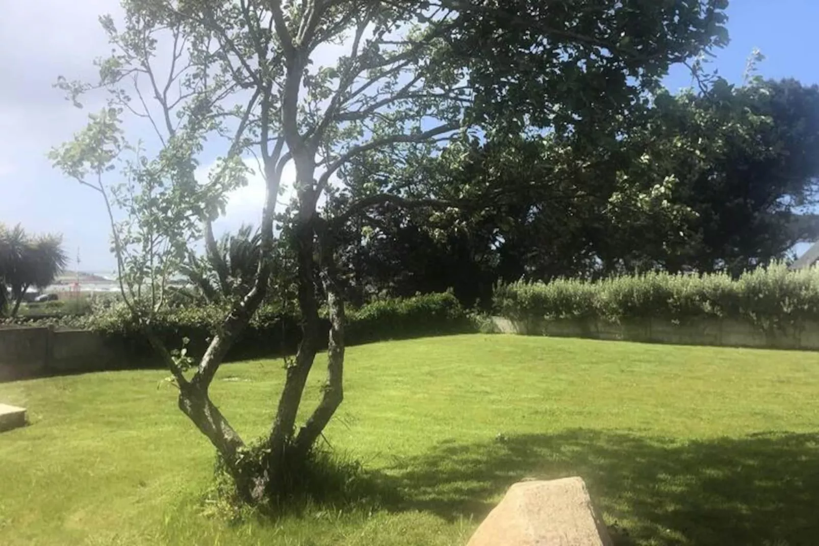 Maison à Penvénan-Image-tags.