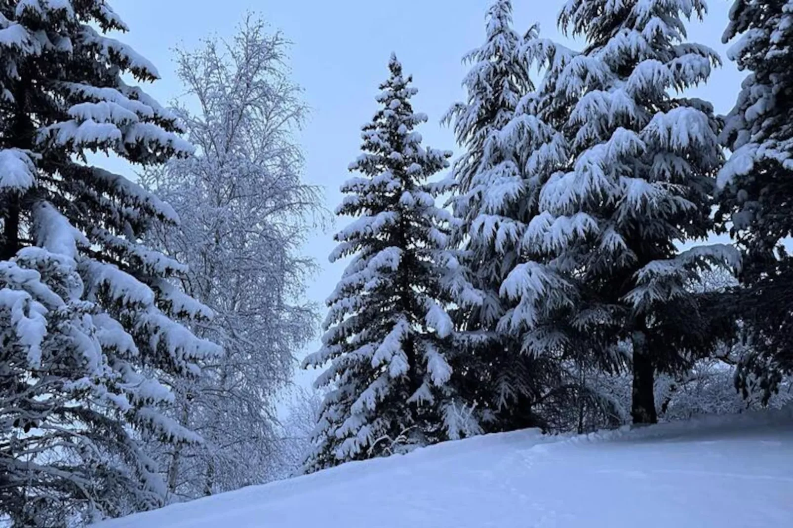 Résidence Neige Et Soleil