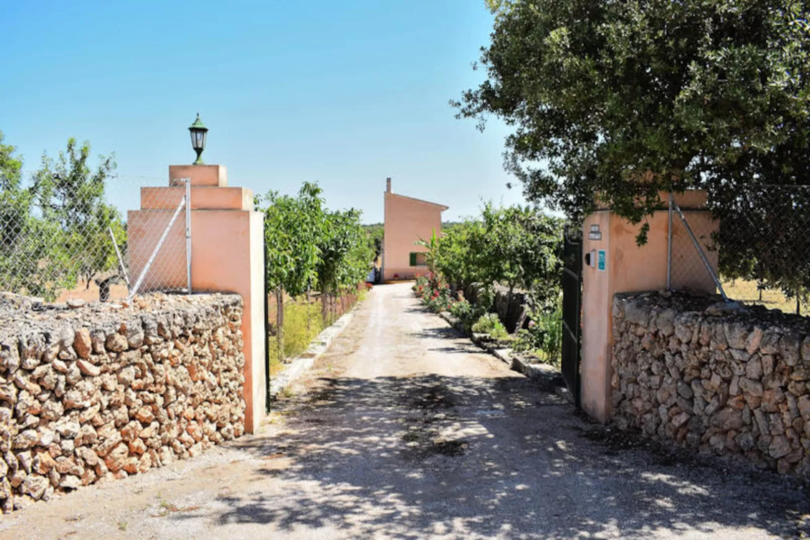 Maison à Santa Margalida-Image-tags.